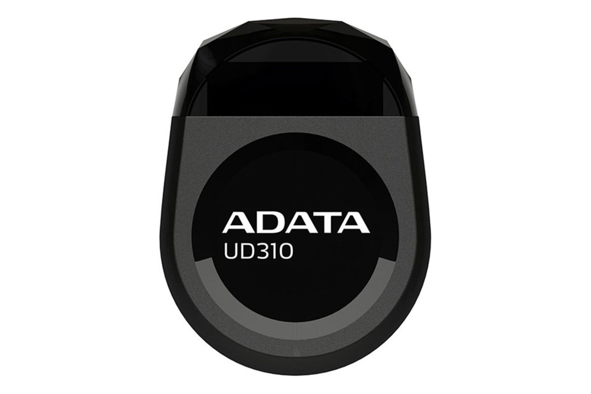 ADATA UD310