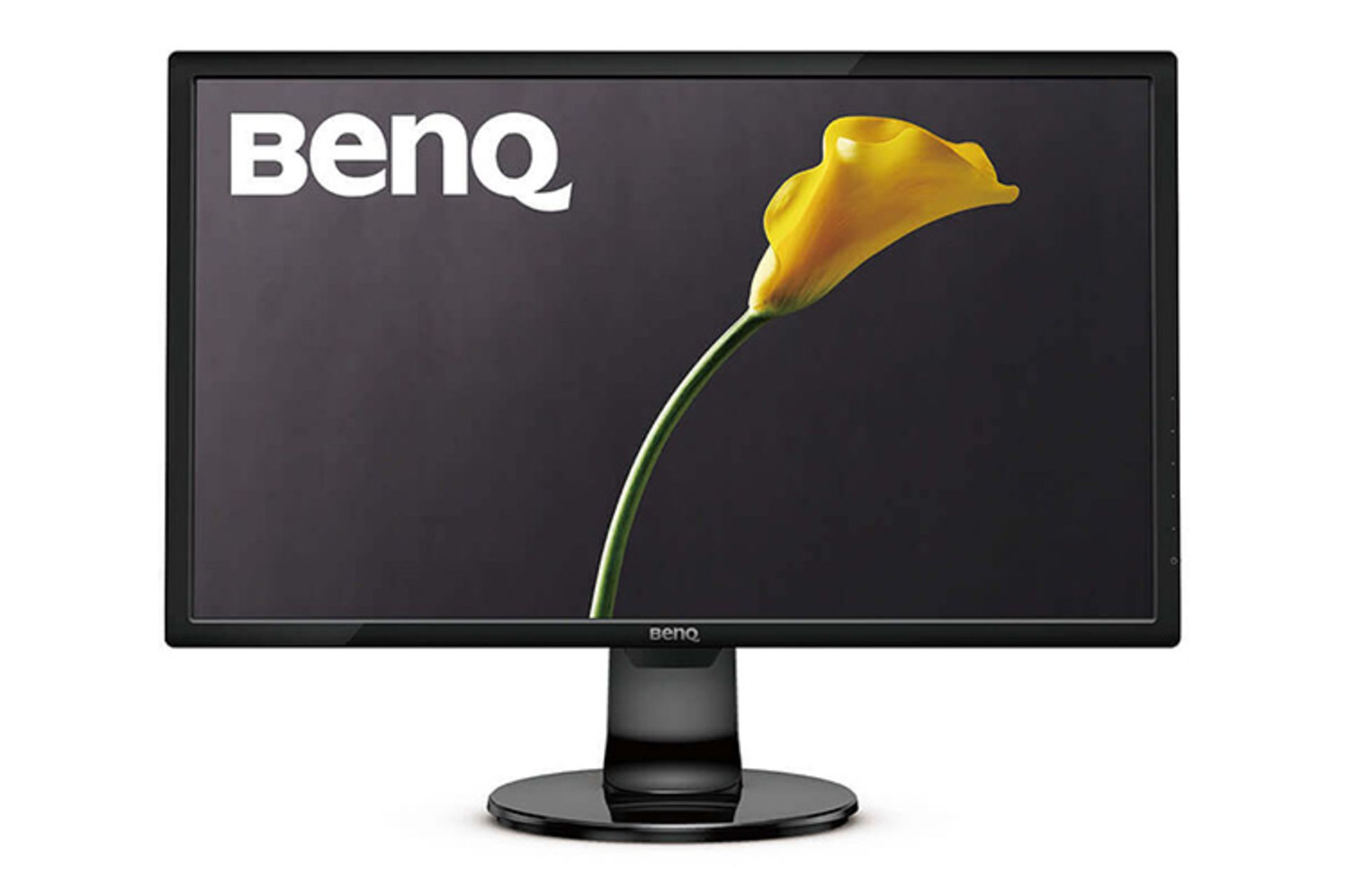 BenQ GL2460BH