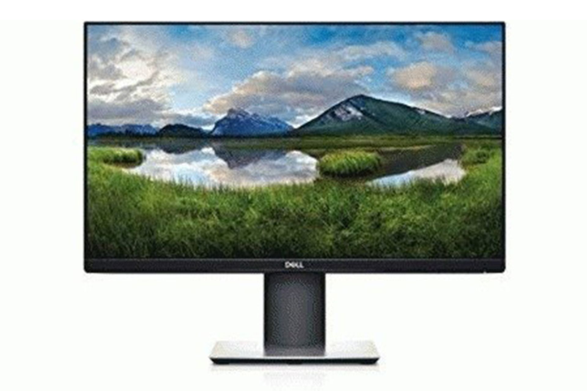 Dell P2219H