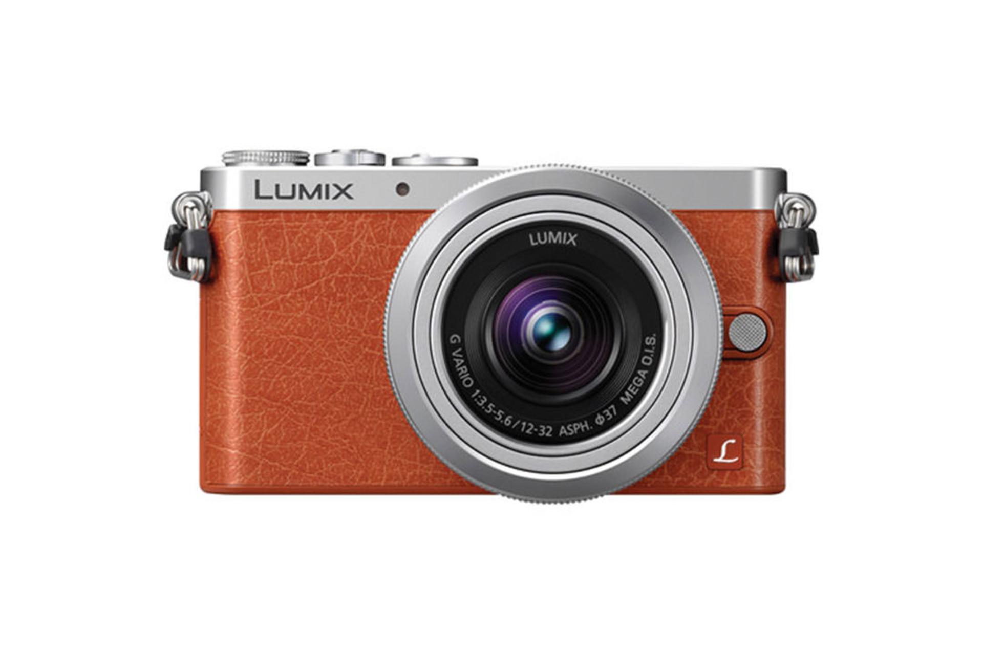 Panasonic Lumix DMC-GM1	