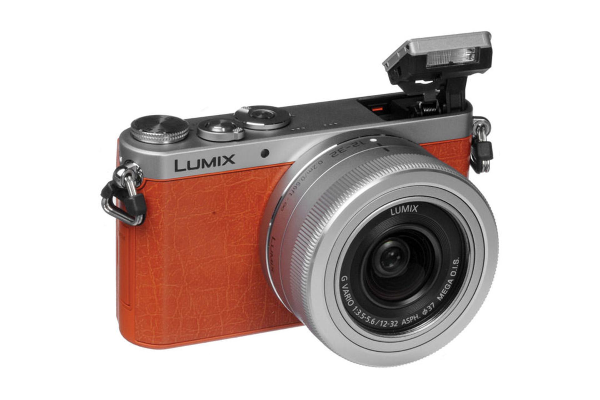Panasonic Lumix DMC-GM1	