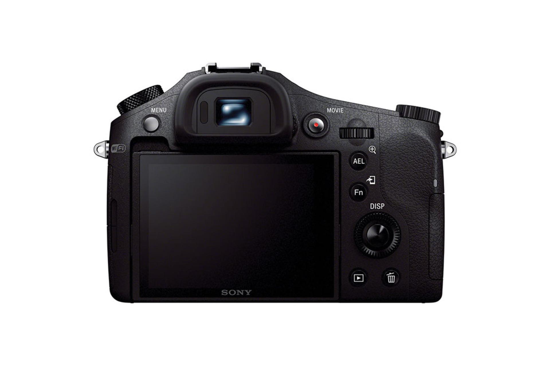 Sony Cyber-shot DSC-RX10	