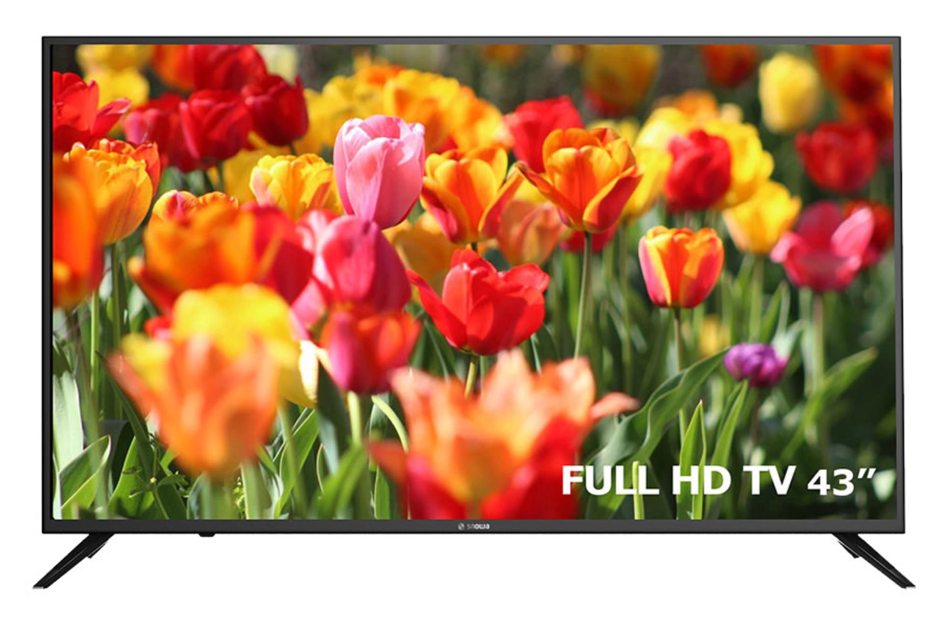 تلویزیون اسنوا SA220 مدل 43 اینچ نمای جلو