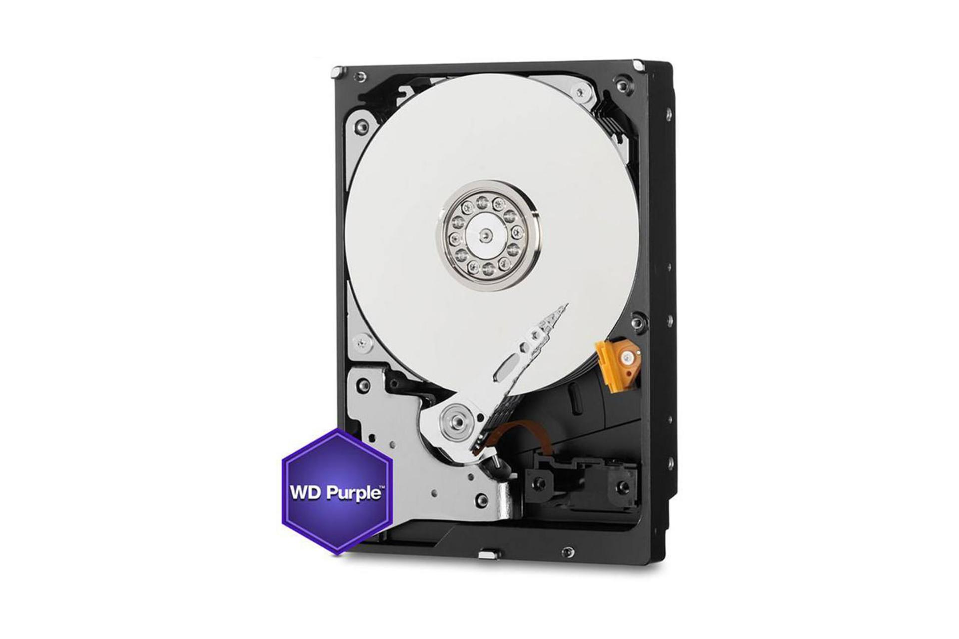 Western Digital Purple