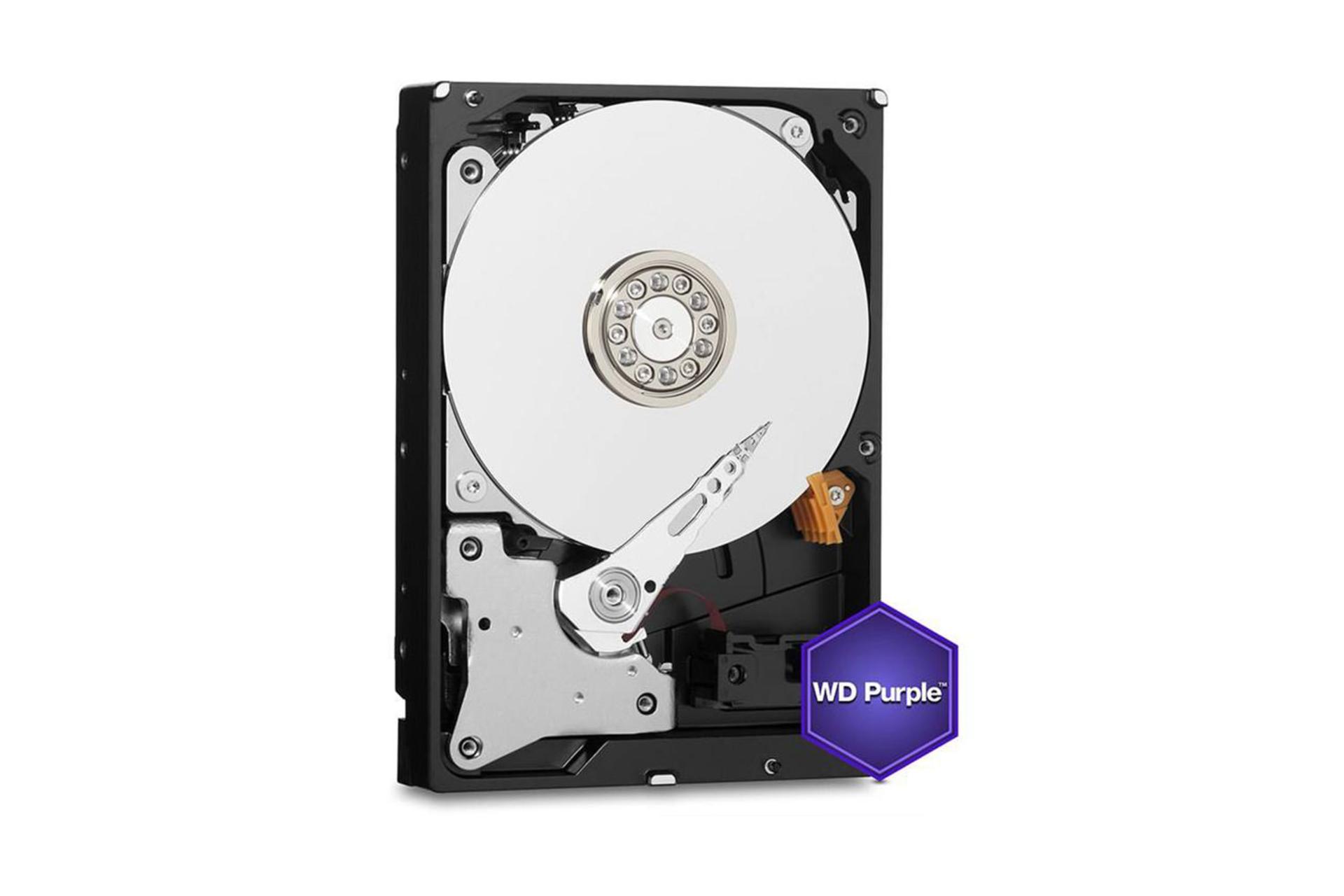 Western Digital Purple