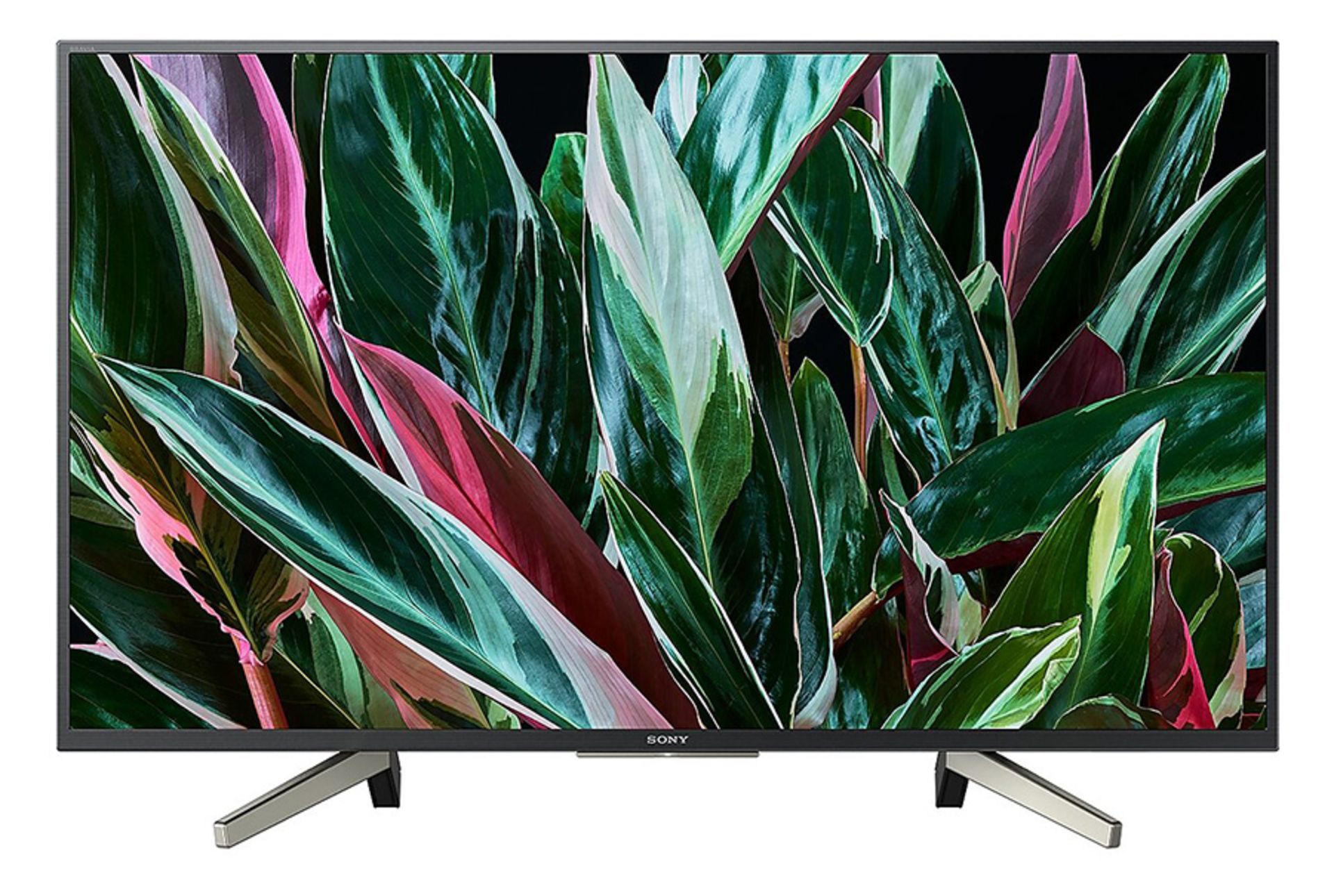 نمای جلو تلویزیون سونی W800G مدل 49 اینچ با صفحه روشن