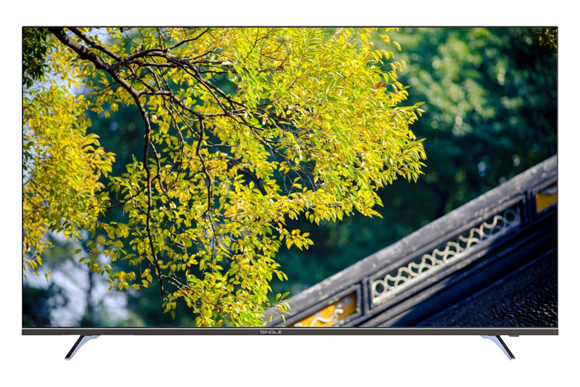 تلویزیون سینگل Single 6520US