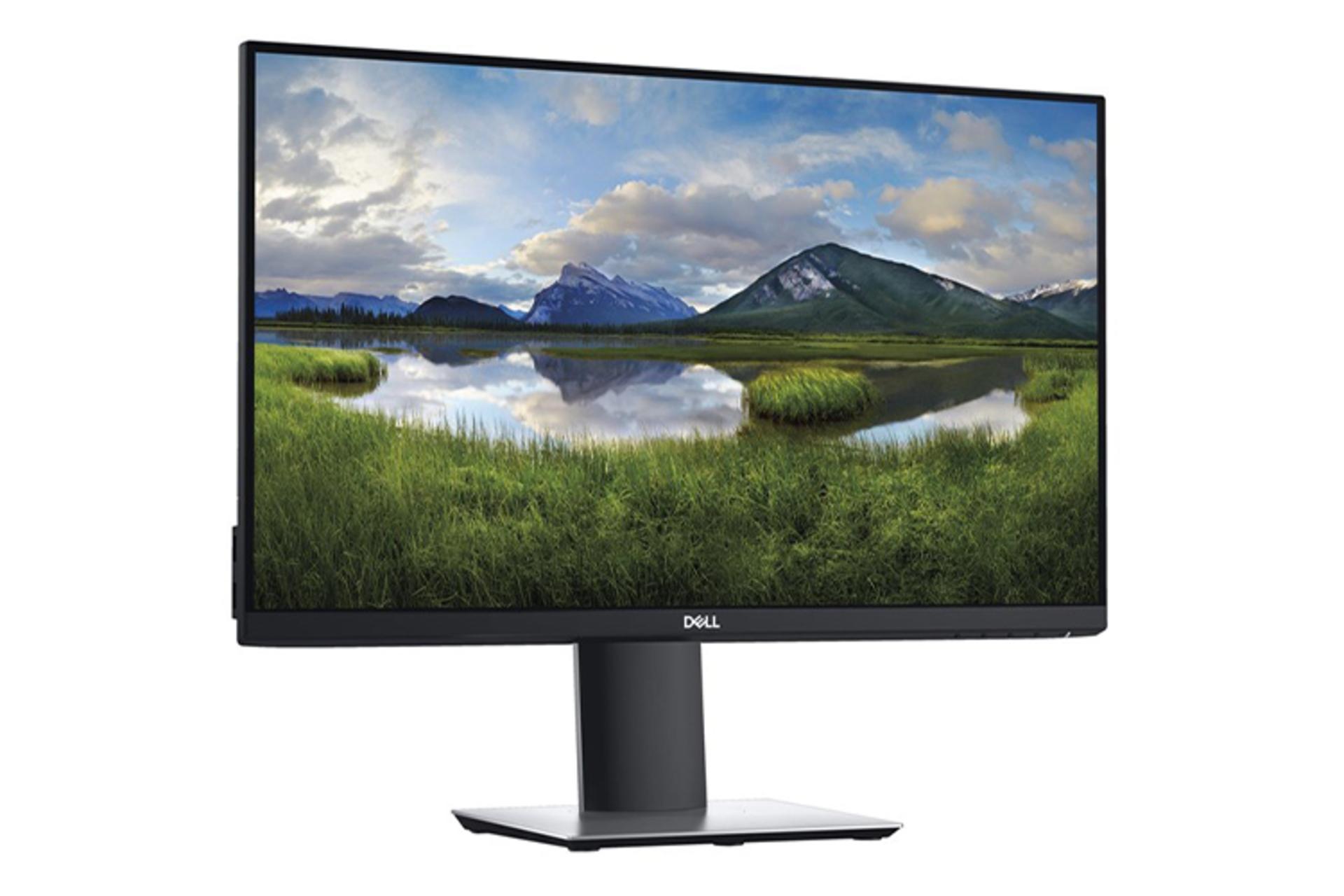 دل 23.8 اینچ مدل P2421D / Dell P2421D