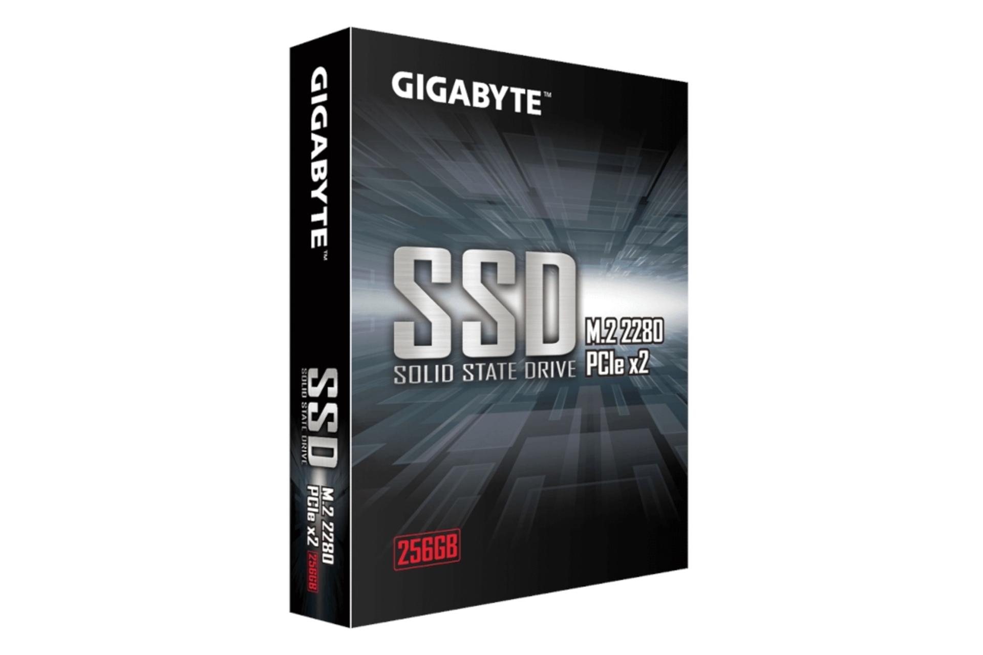 جعبه SSD گیگابایت GIGABYTE GP-GSM2NE8256GNTD NVMe M.2 256GB ظرفیت 256 گیگابایت