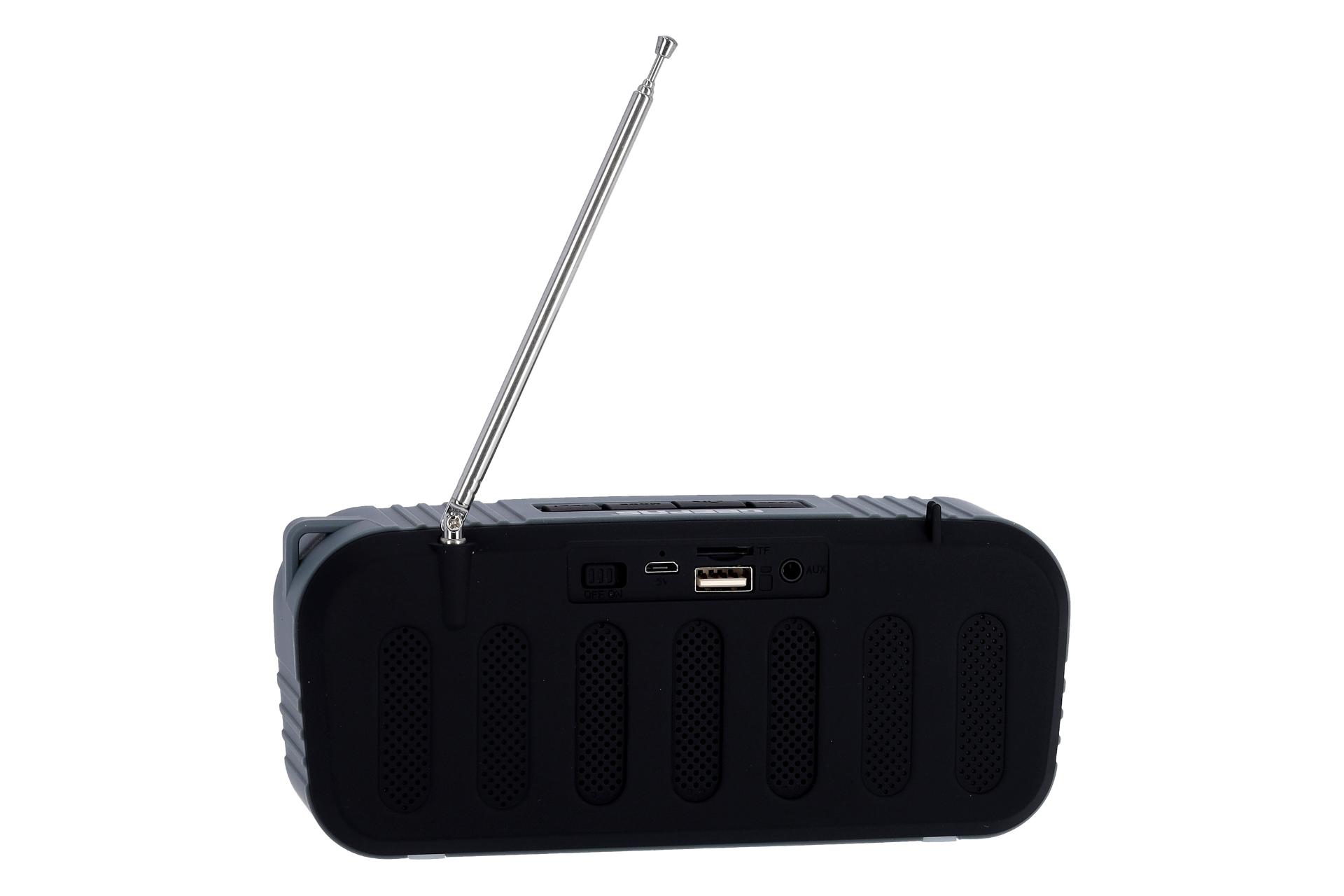 پشت اسپیکر جی پاس GEEPAS GMS11184