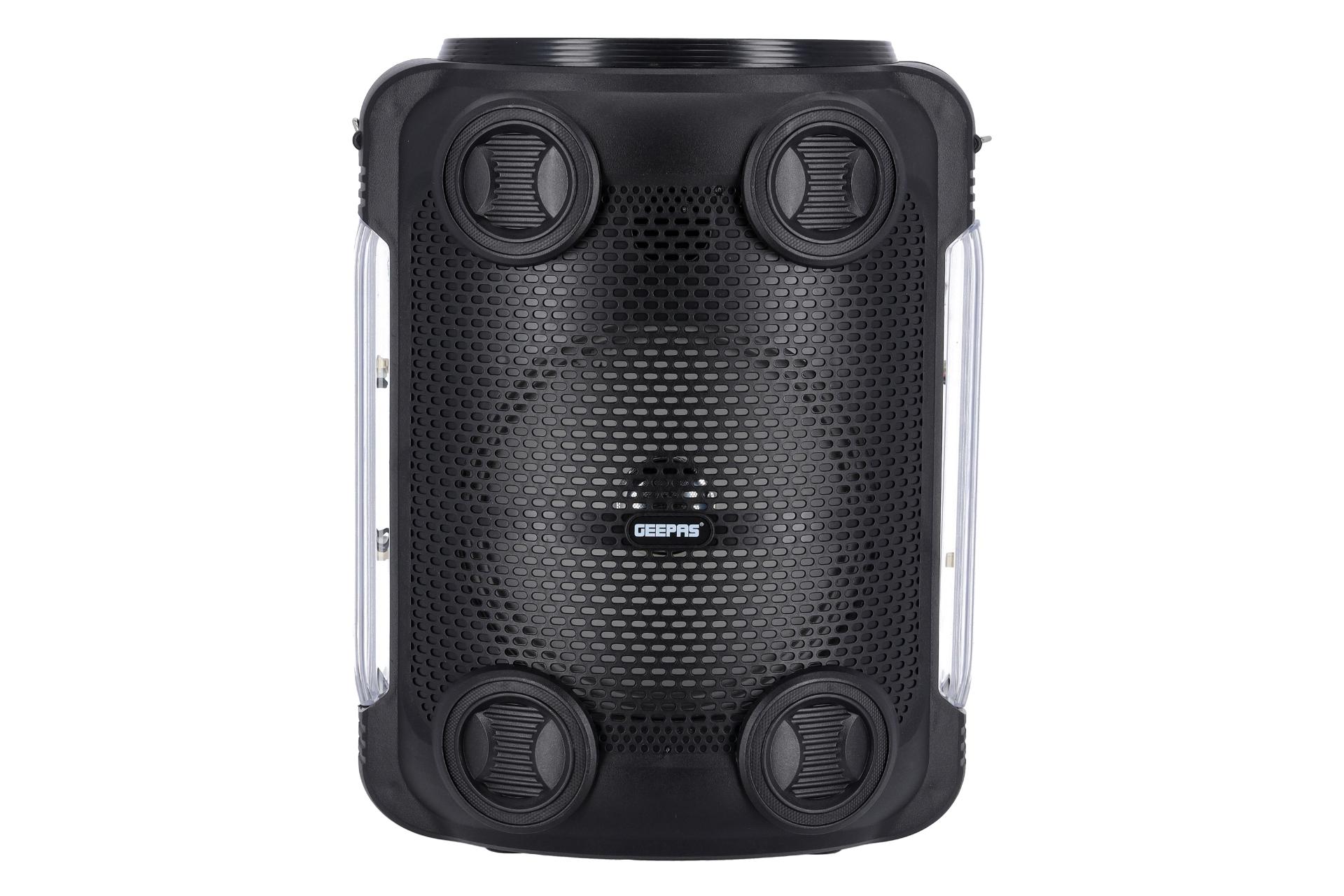 اسپیکر جی پاس GEEPAS GMS11165