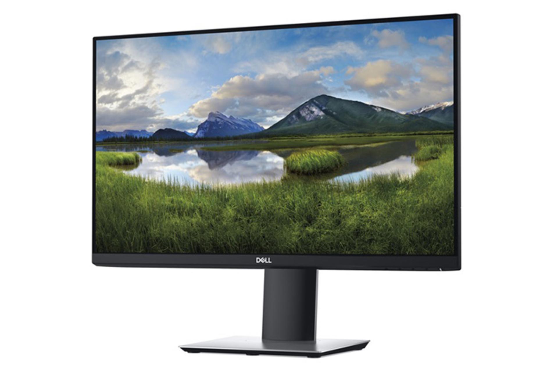 Dell P2419H