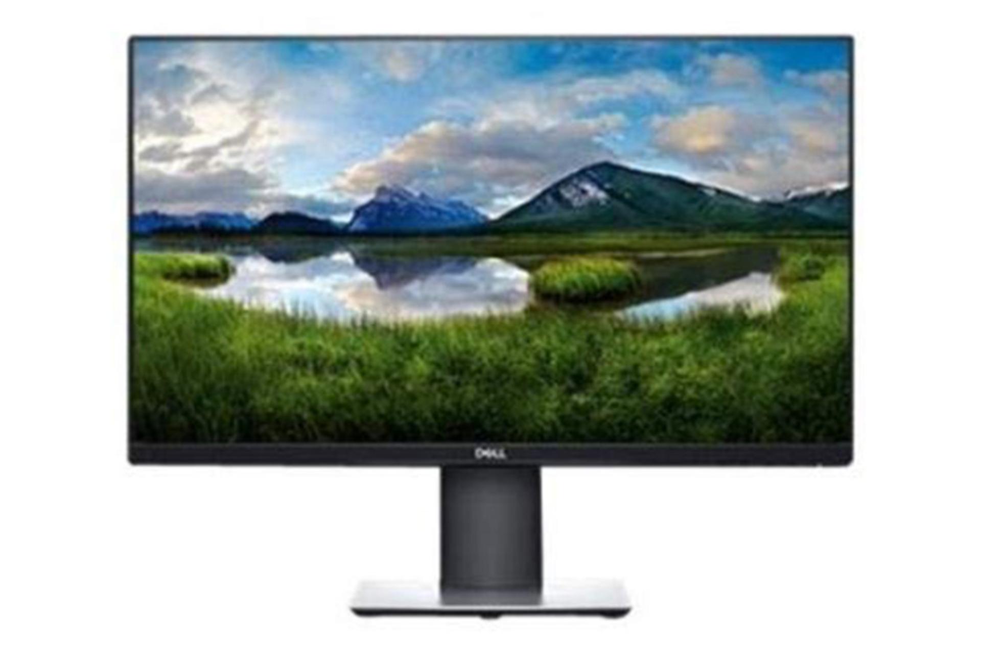 Dell P2419H