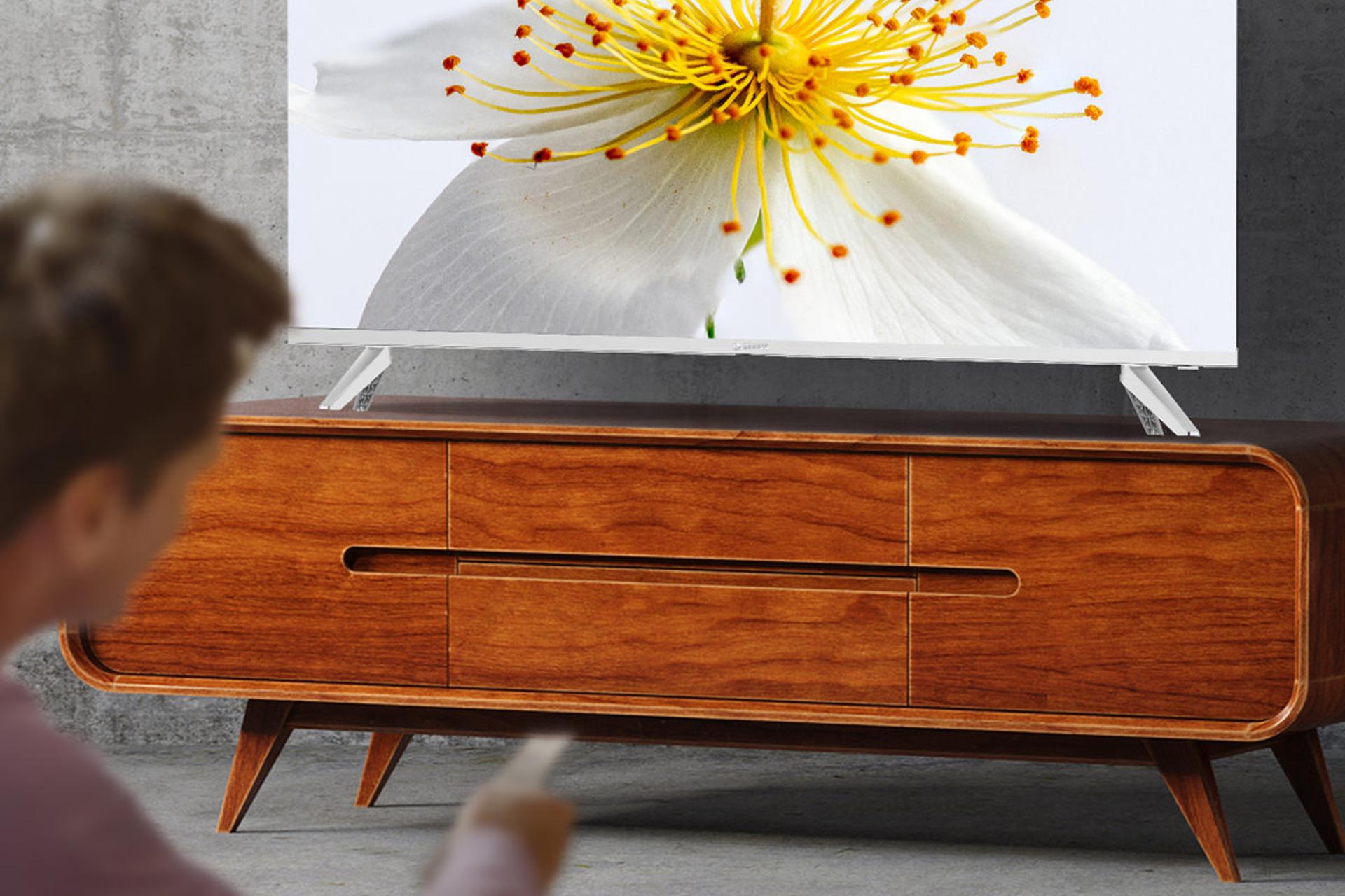 پایه تلویزیون اسنوا Snowa 43SA1270