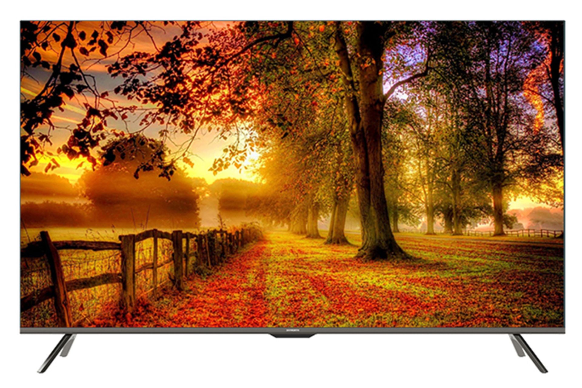 نمای جلو تلویزیون ایکس ویژن 55XYU725