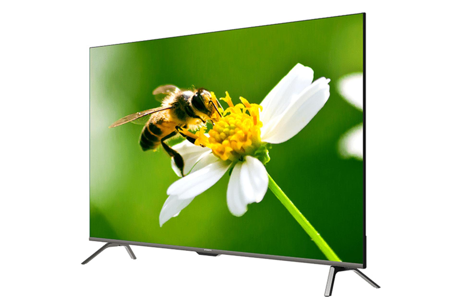نمای نیمرخ تلویزیون ایکس ویژن 55XYU725