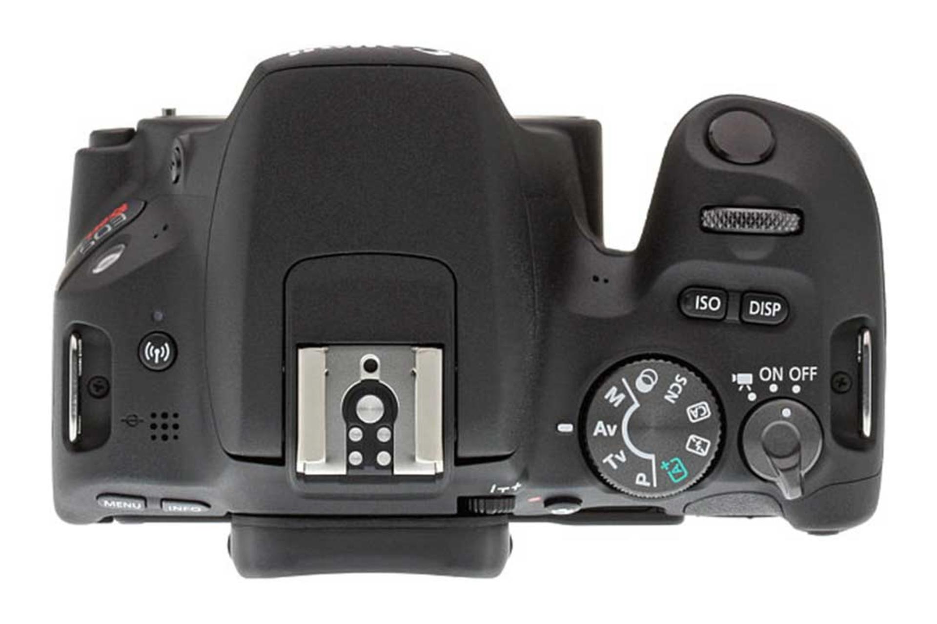 Canon EOS Kiss REBEL SL3 200D Ⅱ Amazon Canada: Canon EOS REBEL SL3 Digital SLR Camera with
