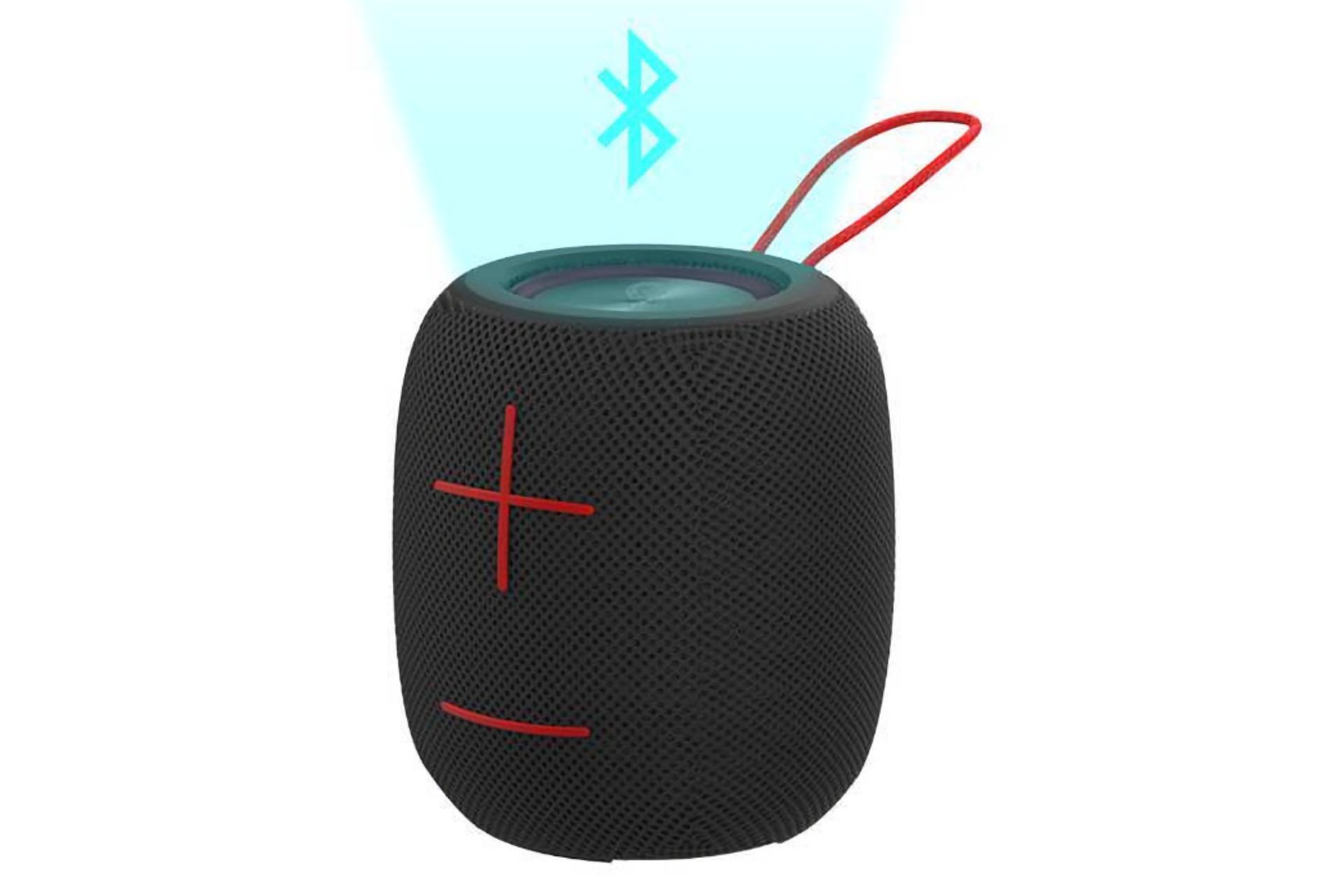 نمای راست اسپیکر گرین لیون Green Lion Rome