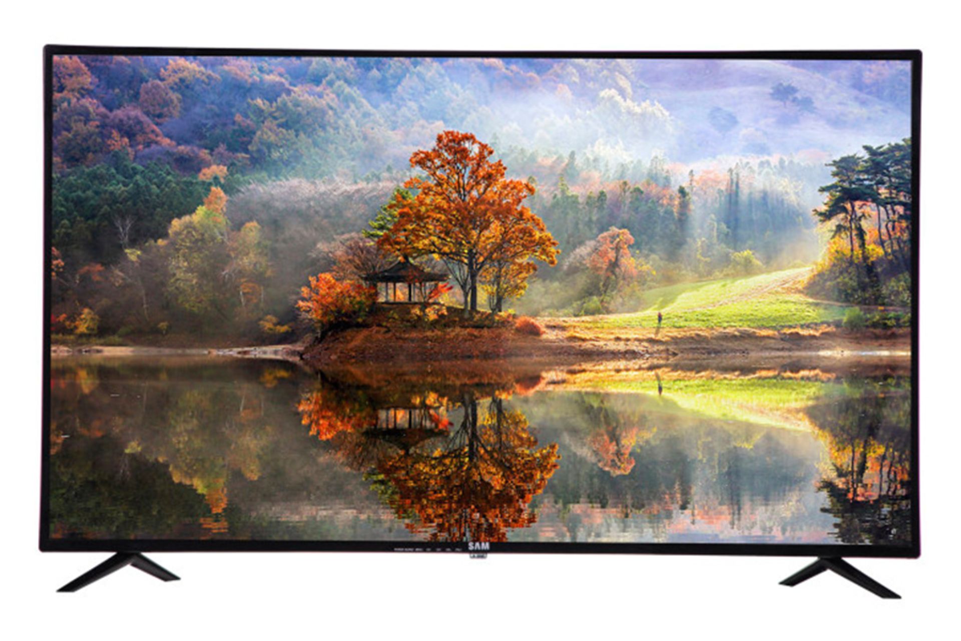 نمای جلو تلویزیون سام الکترونیک 43T5500TH