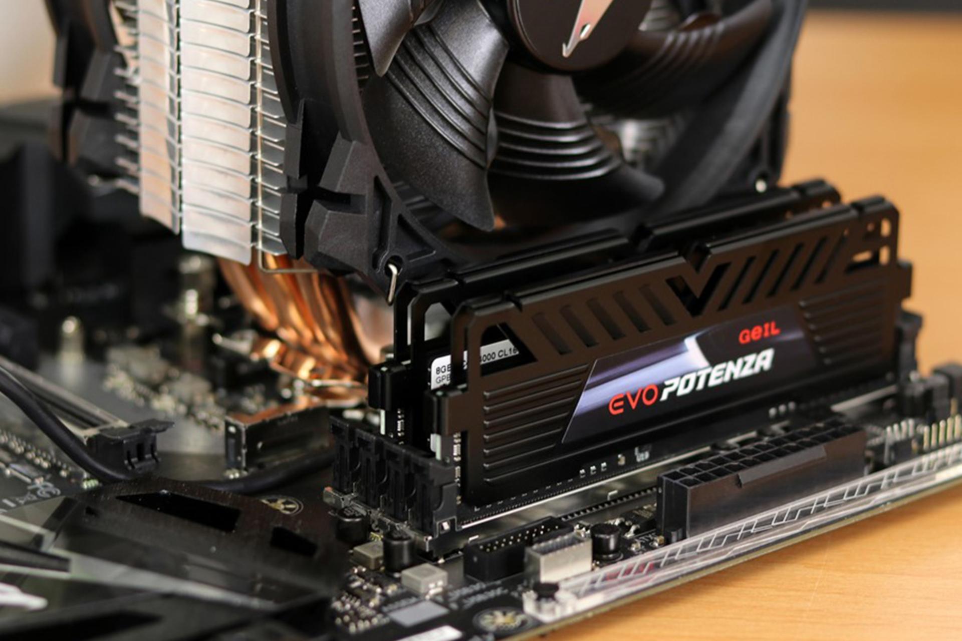  نمای نزدیک رم گیل EVO Potenza ظرفیت 32 گیگابایت (2x16) از نوع DDR4-3200