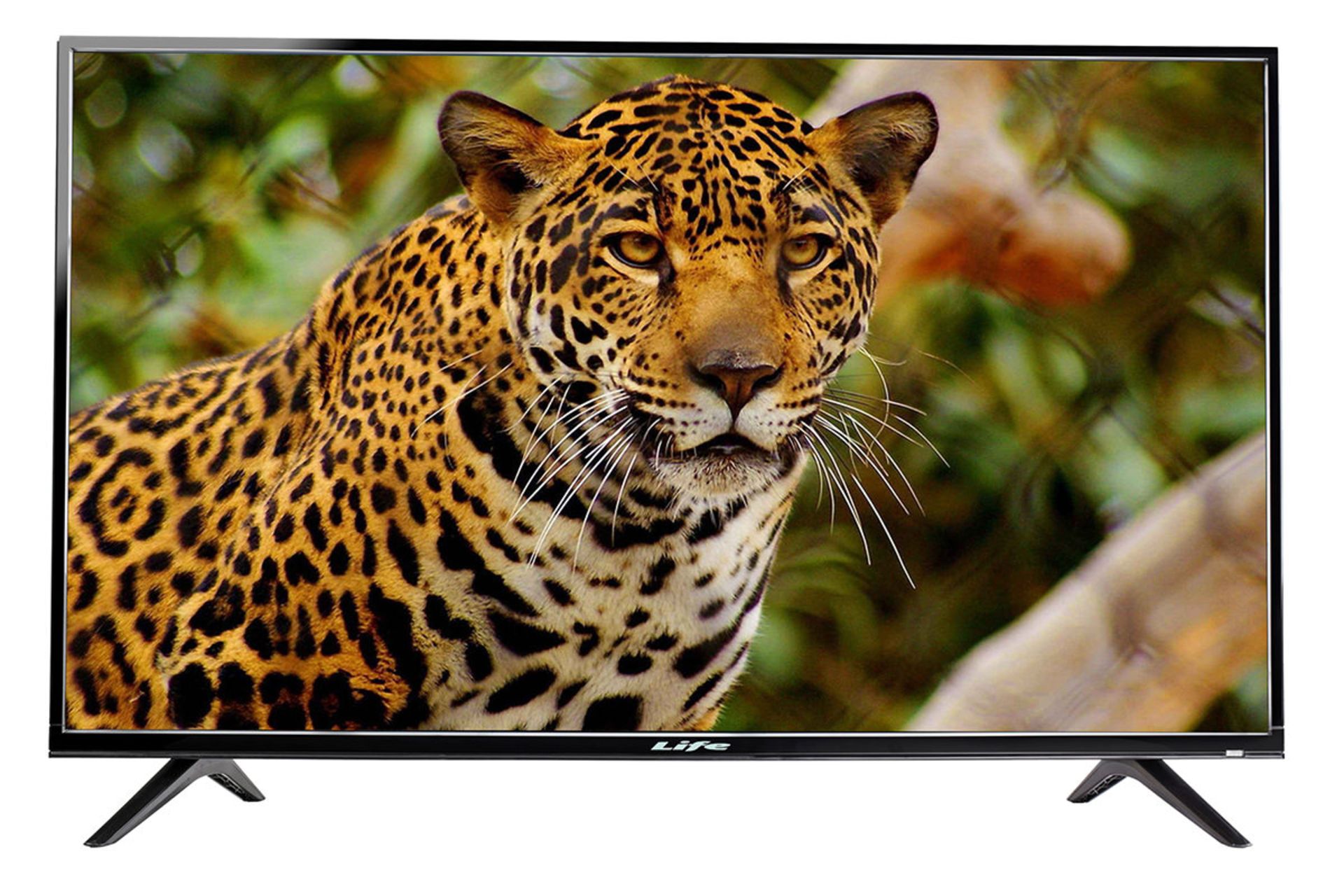 تلویزیون لایف BD354 مدل 43 اینچ نمای جلو