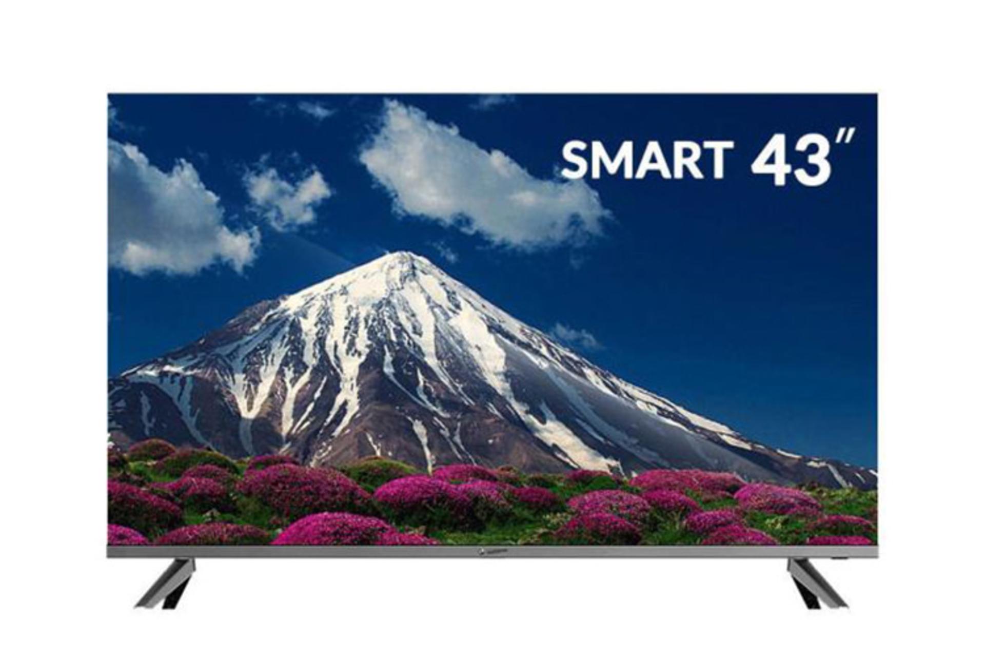 تلویزیون اسنوا Snowa 43SA620P