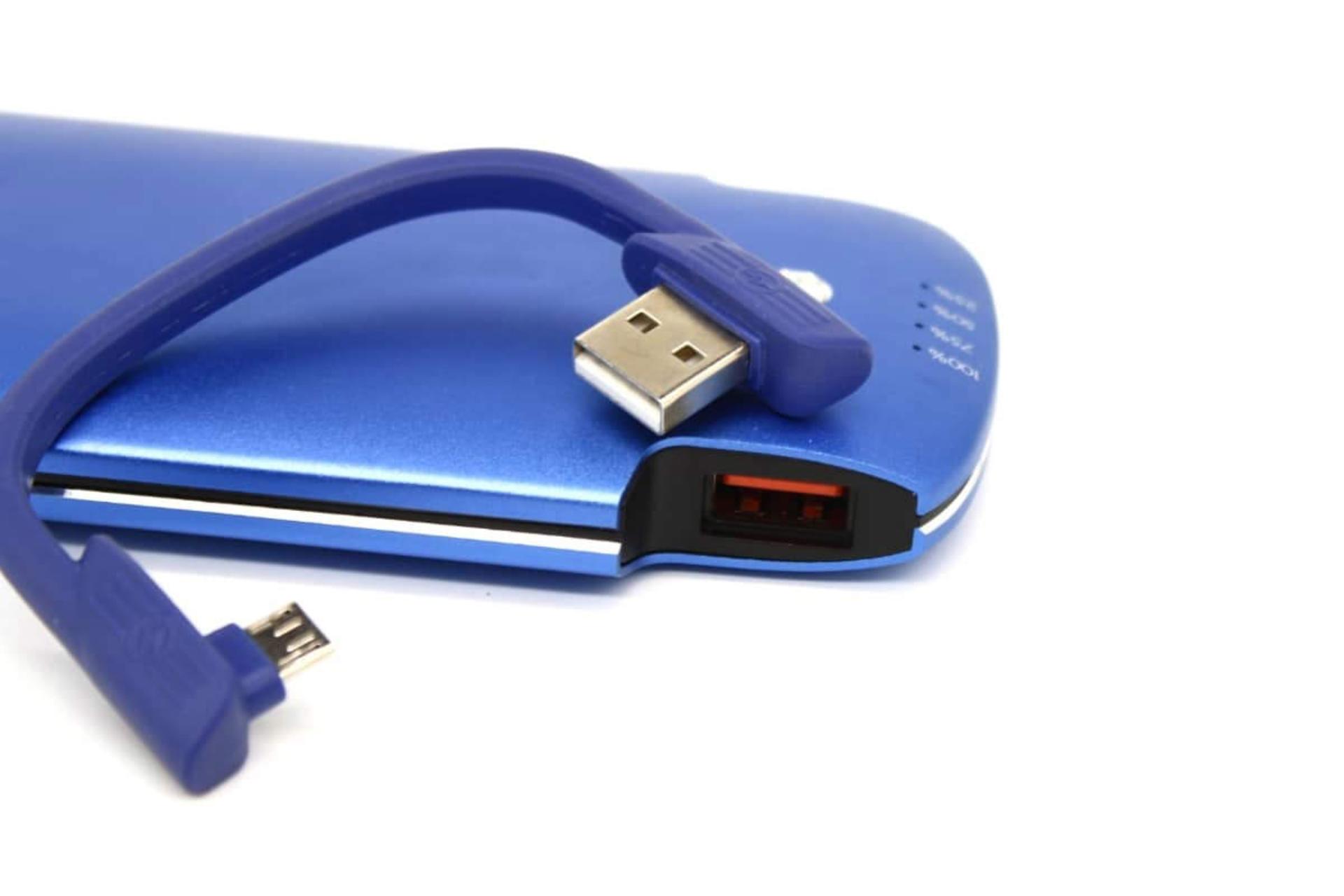 درگاه خروجی پاور بانک الدینیو PL1005