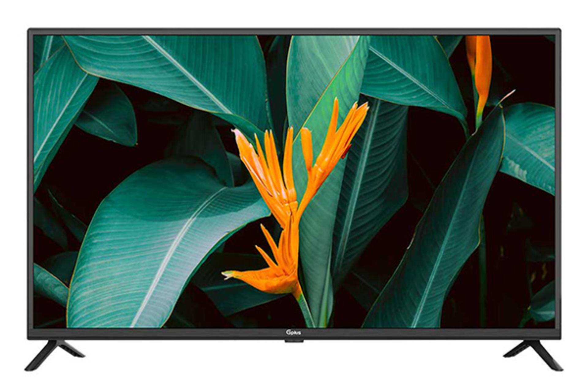 نمای جلو تلویزیون جی پلاس 43PH416N