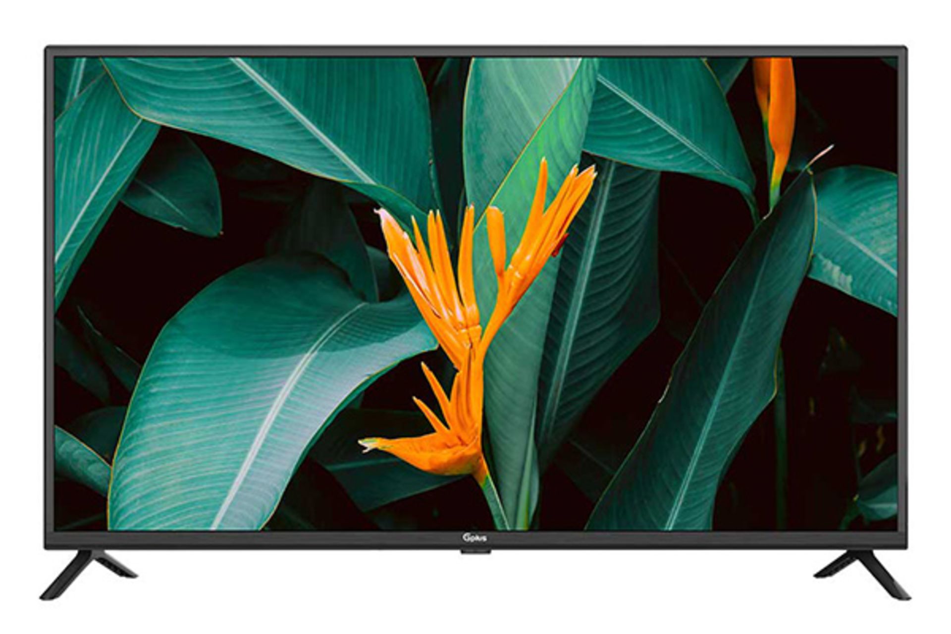 نمای جلو تلویزیون جی پلاس 43PH416N