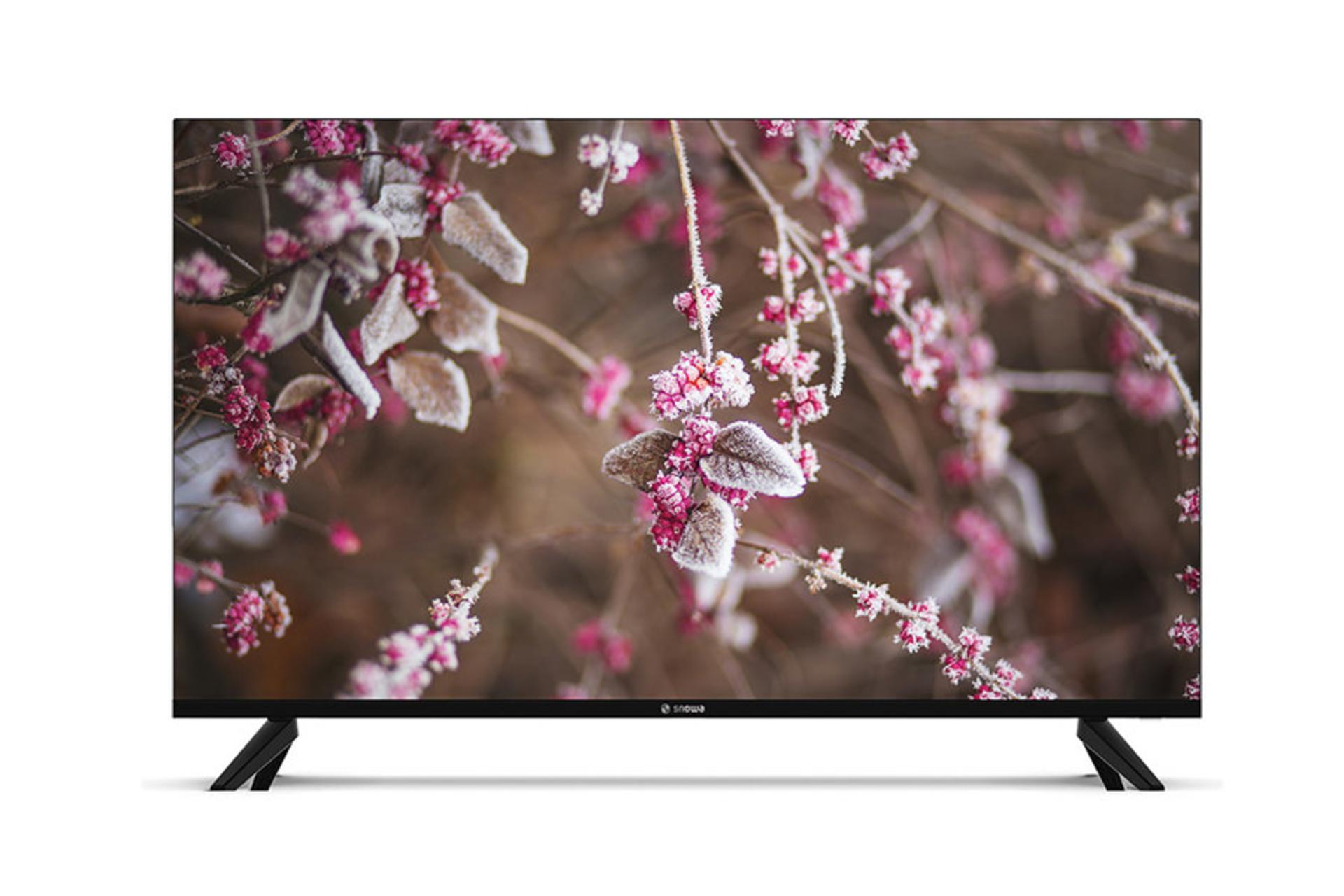 تلویزیون اسنوا Snowa 55SA620U