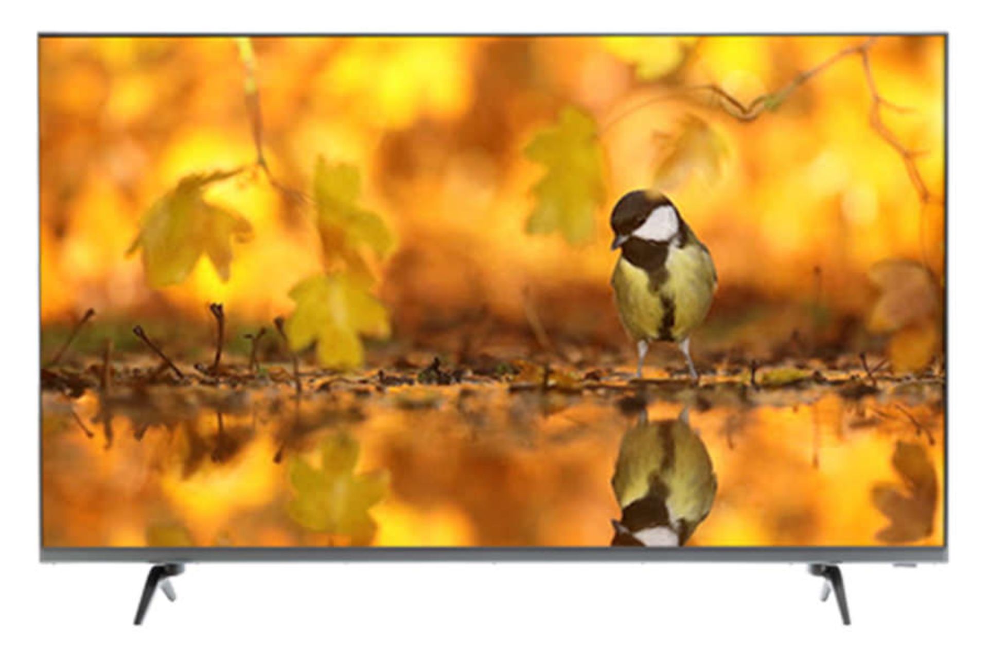 تلویزیون پانورامیک Panoramic 43SB266