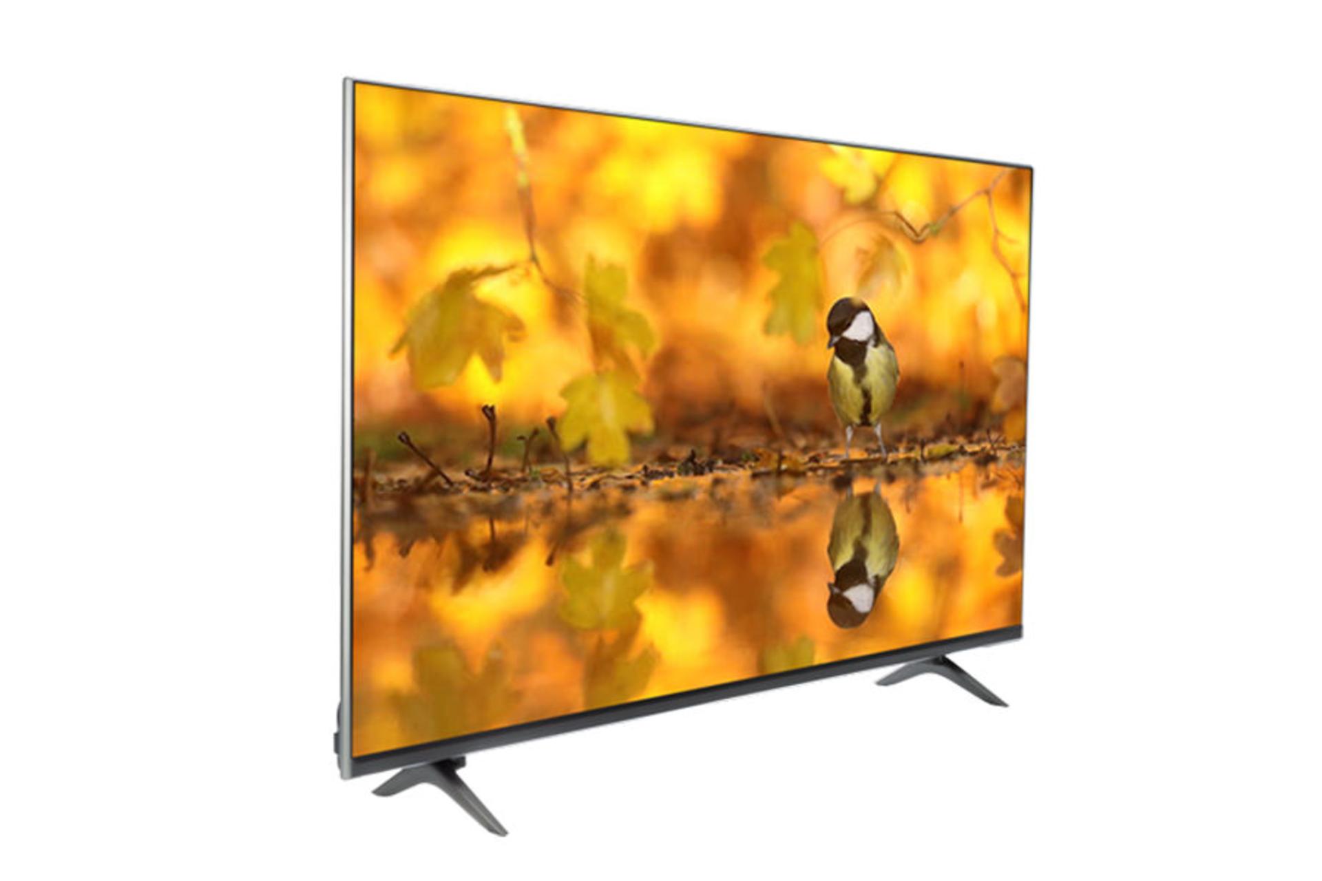 تلویزیون پانورامیک Panoramic 43SB266 نمای جلو