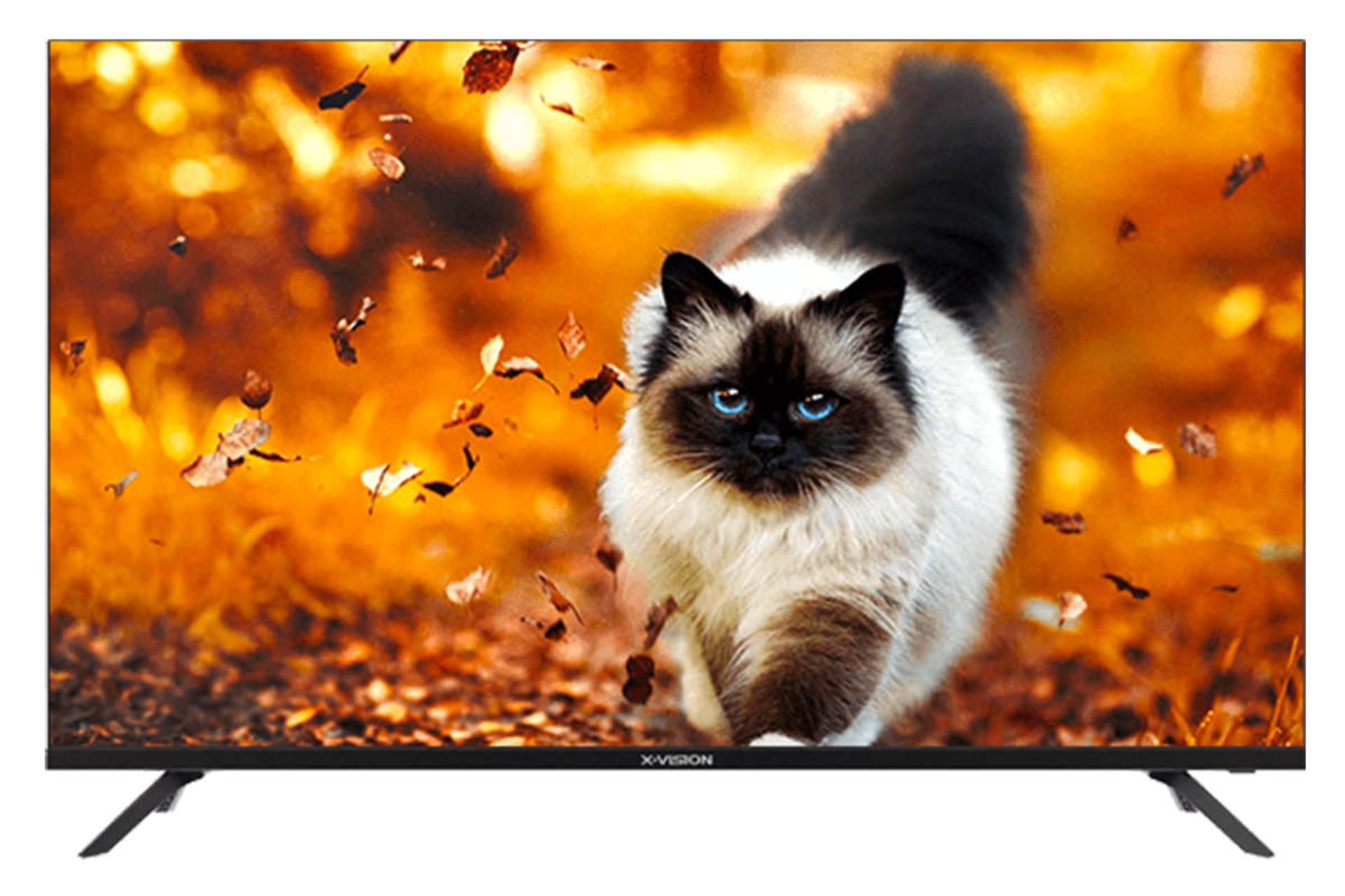 تلویزیون ایکس ویژن X.Vision 43XC685