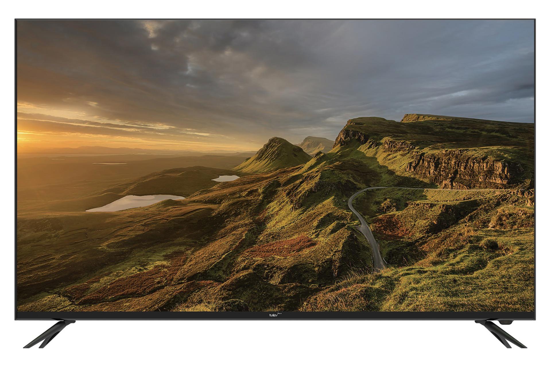 تلویزیون تولیپس Tulips TV-A-LE50N9FLB