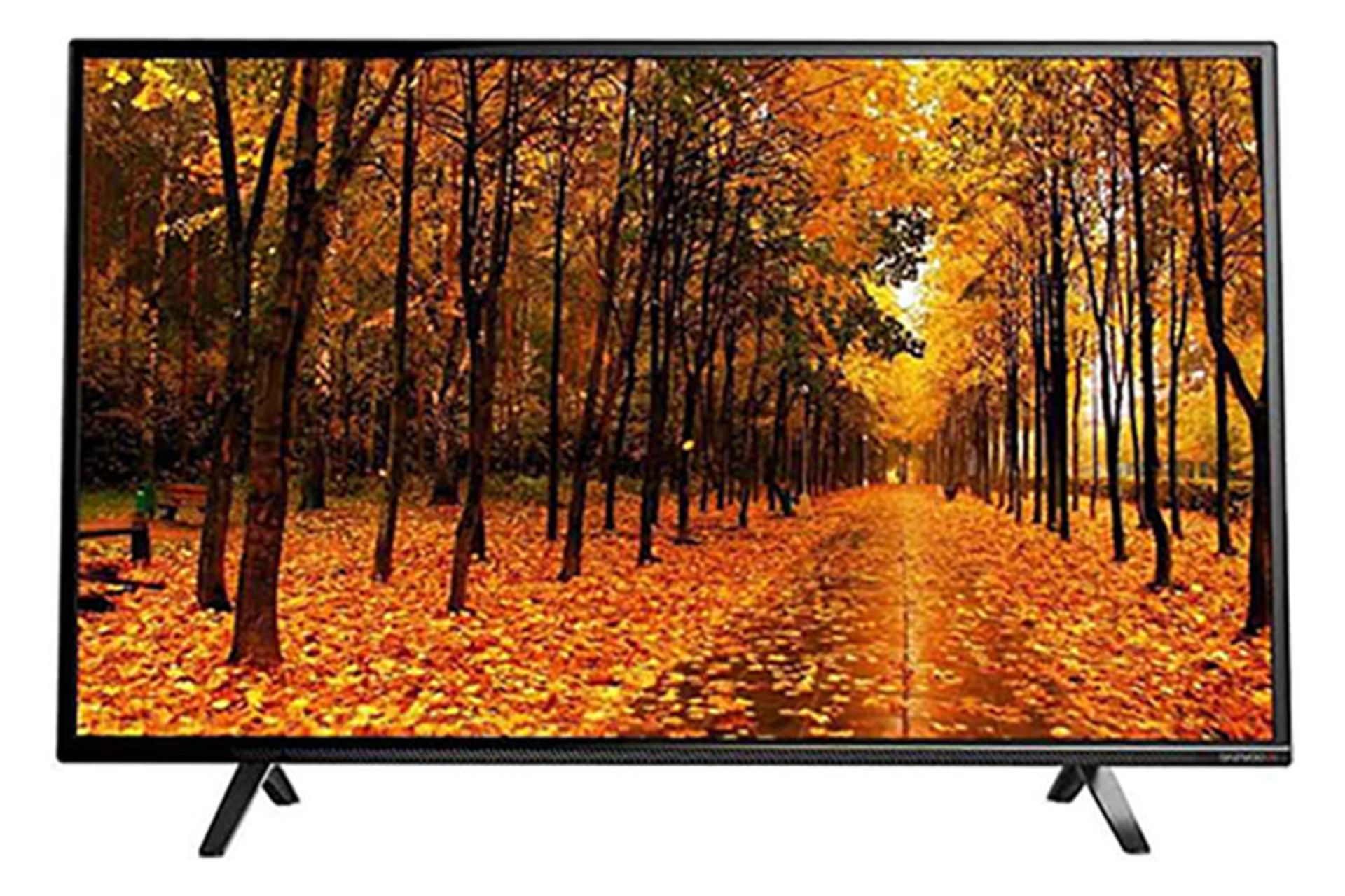 تلویزیون دوو Daewoo DSL-43S7000EM