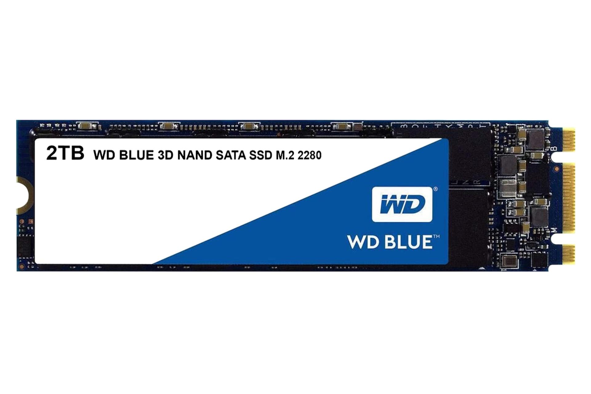 مرجع متخصصين ايران نماي روبرو SSD وسترن ديجيتال Western Digital Blue WDS200T1B0B SATA M.2 2TB ظرفيت 2 ترابايت