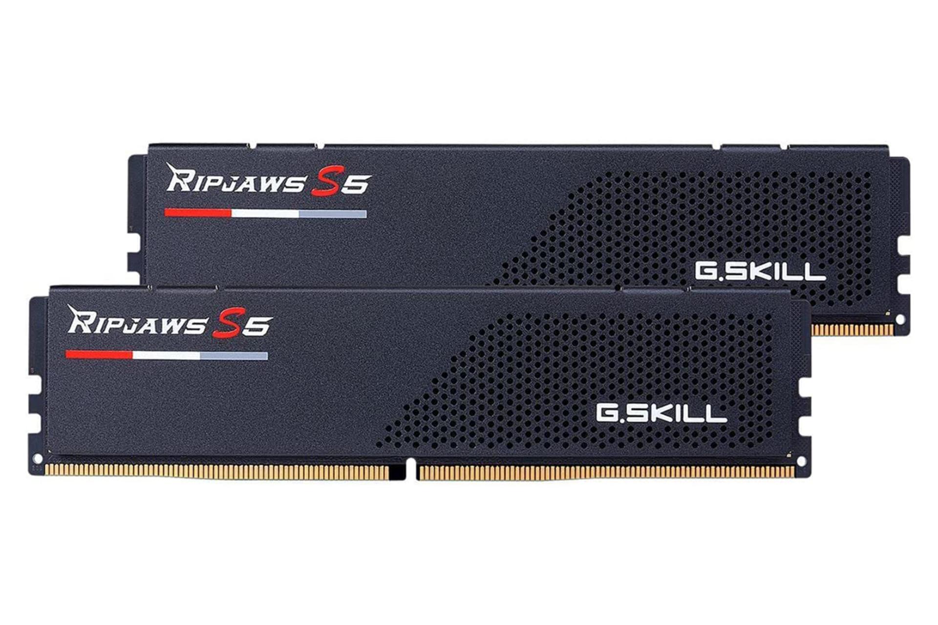 نمای رم جی اسکیل Ripjaws S5 ظرفیت 64 گیگابایت (2x32) از نوع DDR5-5600 بصورت دوتایی