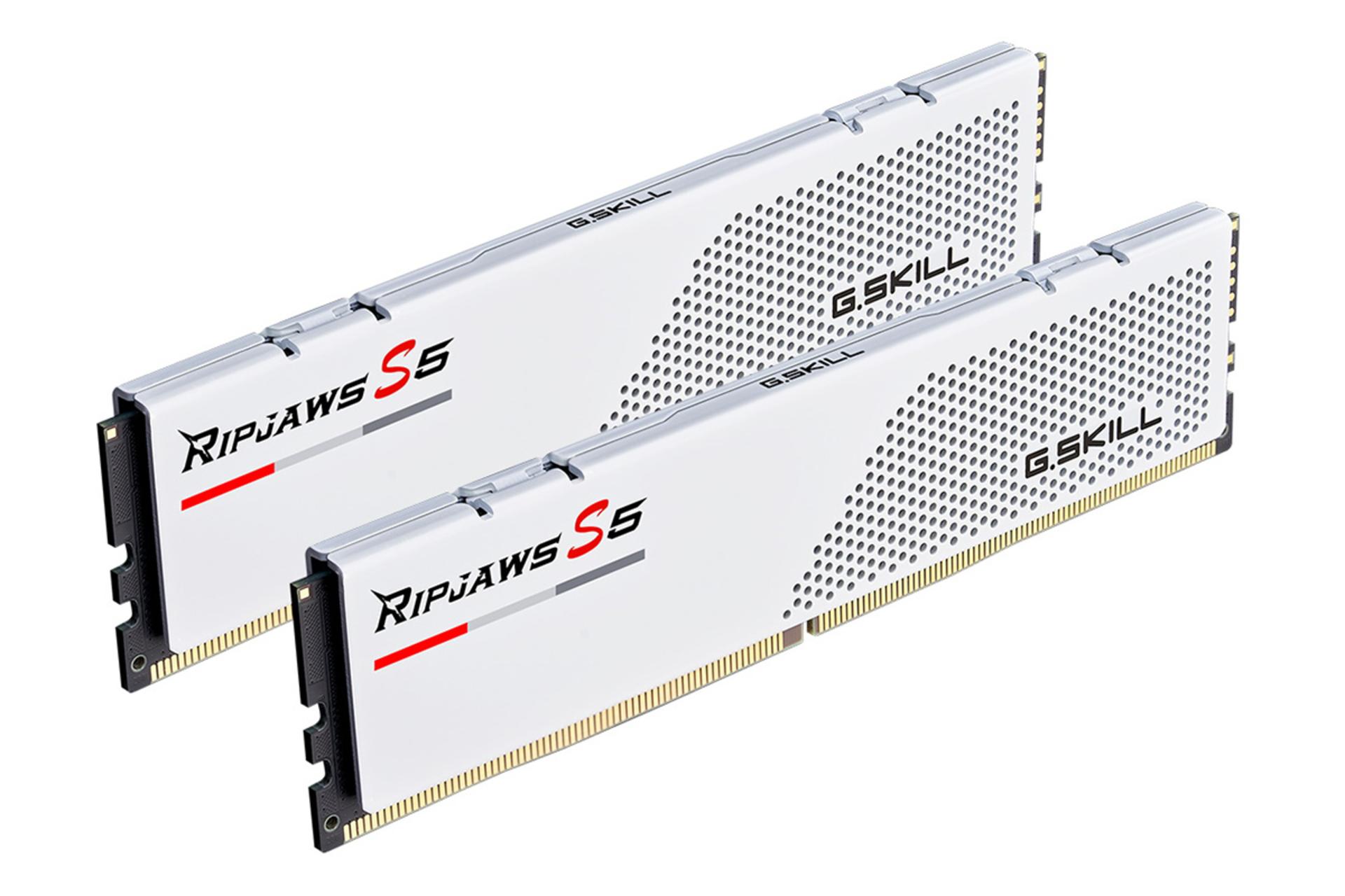 نمای چپ رم جی اسکیل Ripjaws S5 ظرفیت 64 گیگابایت (2x32) از نوع DDR5-5600 سفید