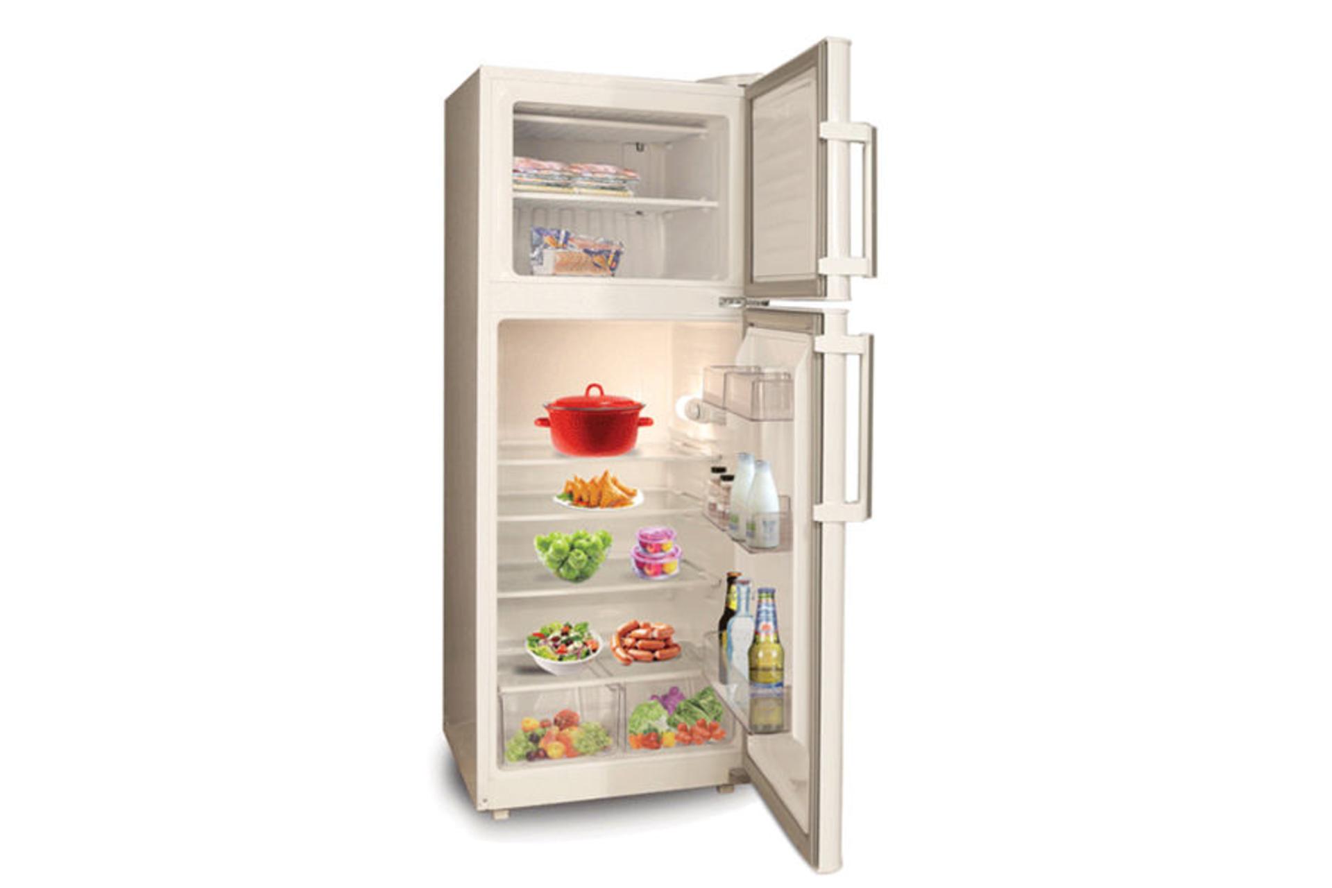 فضای داخل یخچال فریزر الکترواستیل ElectroSteel Electro Cara ES14