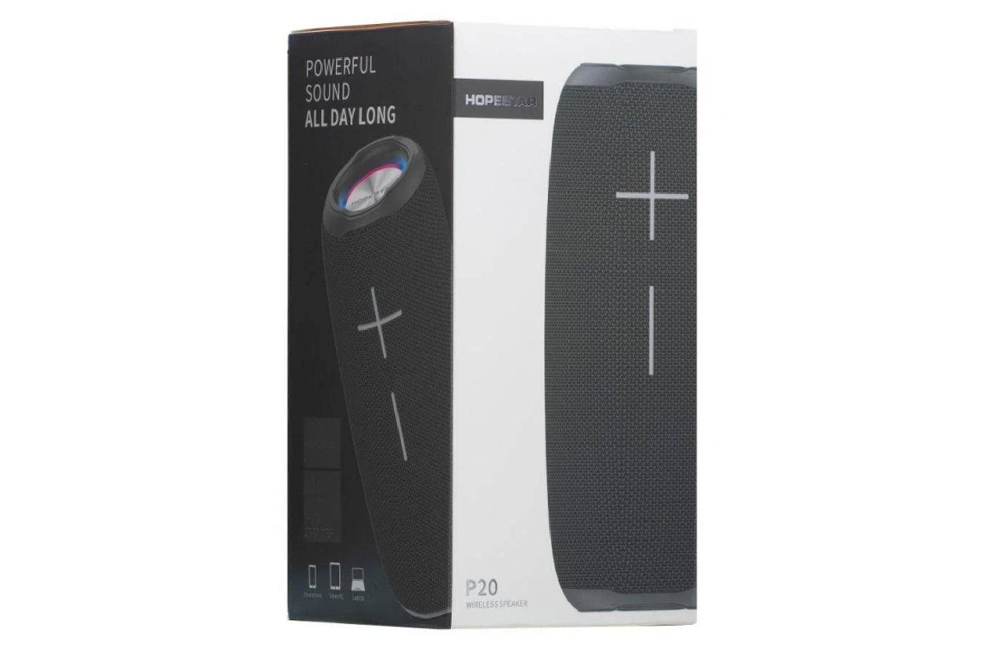 جعبه اسپیکر هوپ استار Hopestar P20