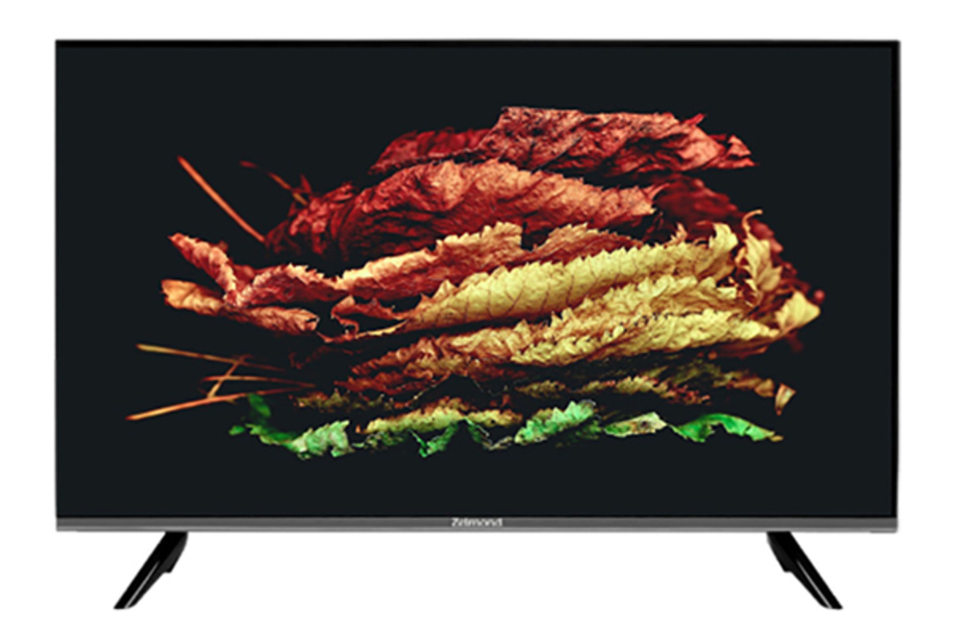 نمای جلو تلویزیون زلموند ZL32BF442