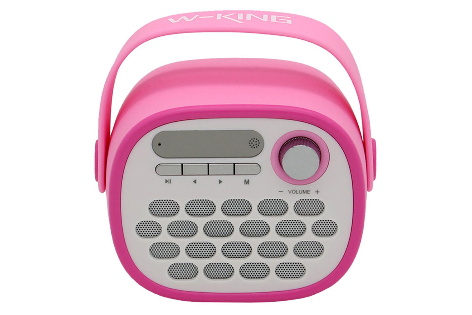 توان اسپیکر دبلیو کینگ W-King T1