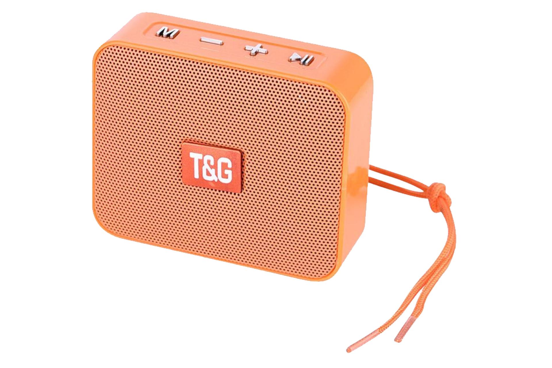 توان اسپیکر تی اند جی T&G TG-166