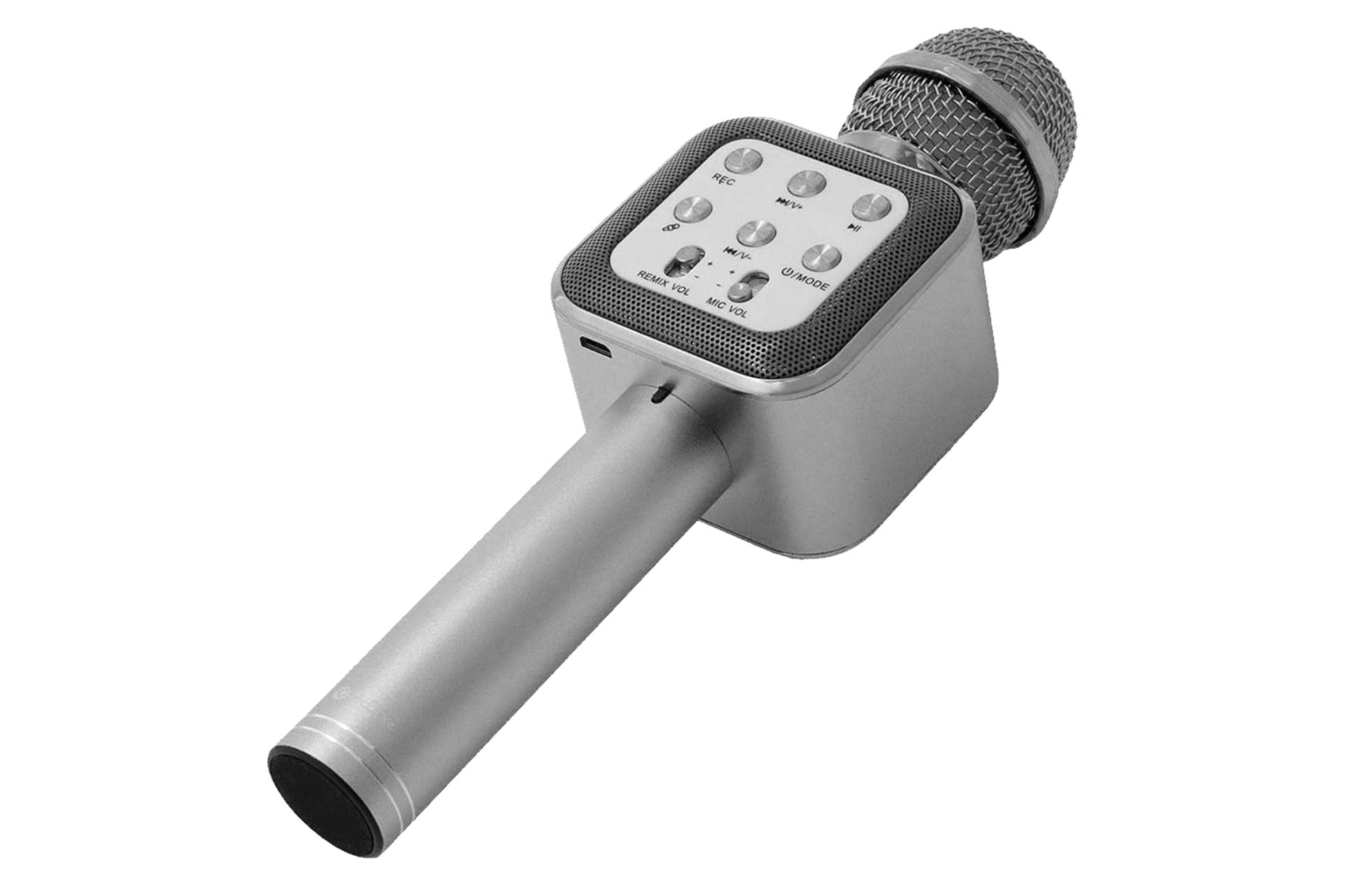 توان اسپیکر پرو وان ProOne PMB66N