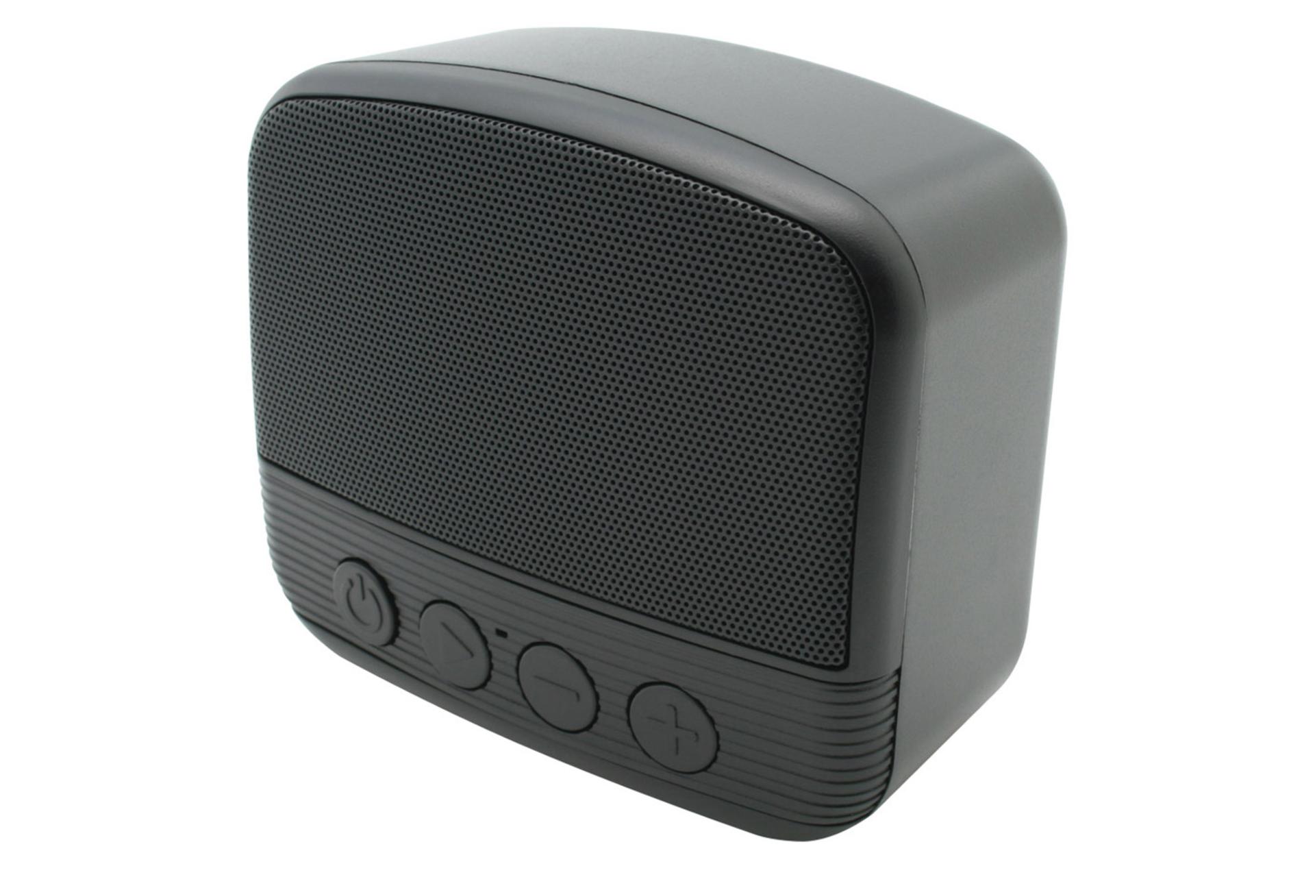 اسپیکر نیو ریکسینگ NEWRIXING NR-101 مشکی