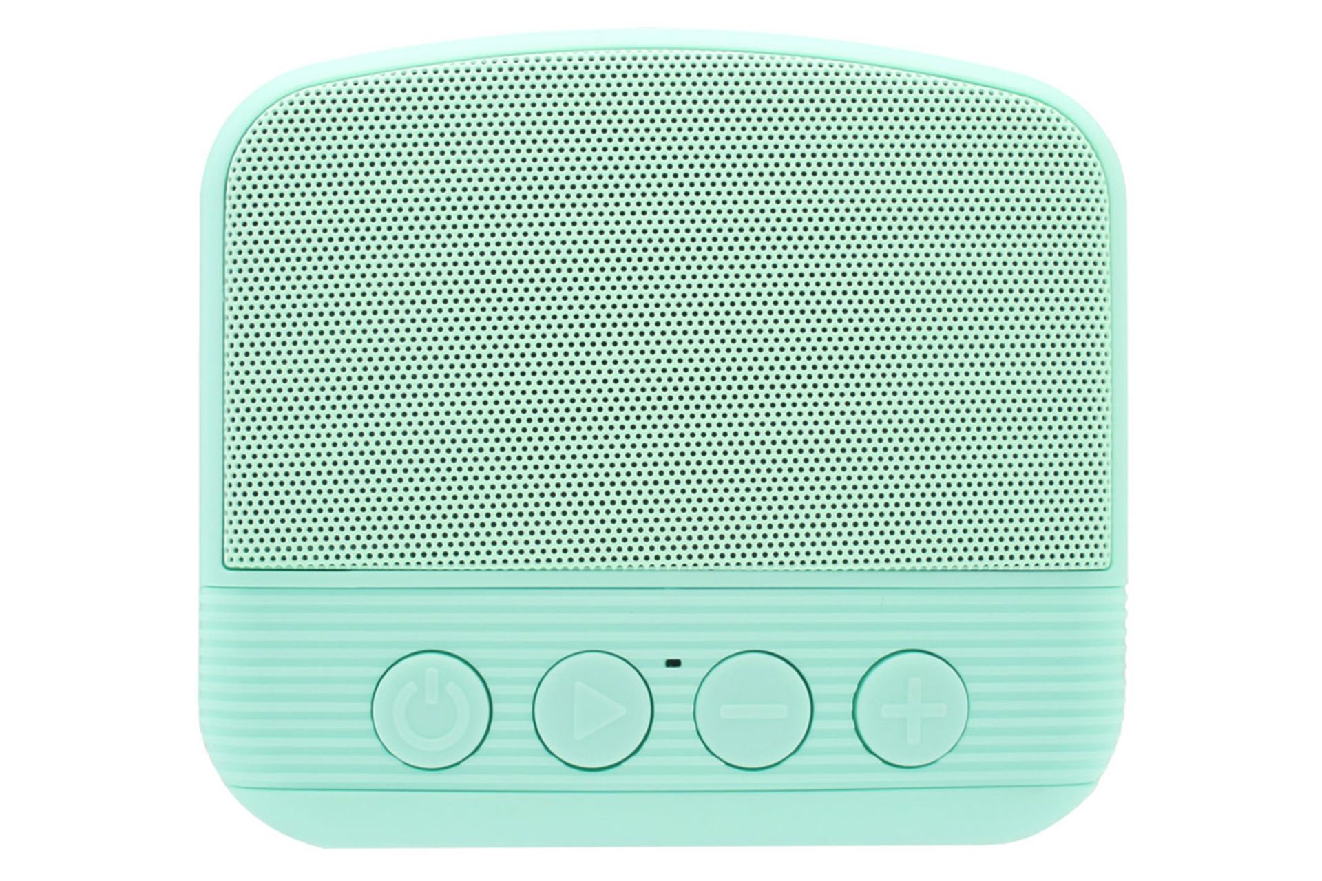 توان اسپیکر نیو ریکسینگ NEWRIXING NR-101