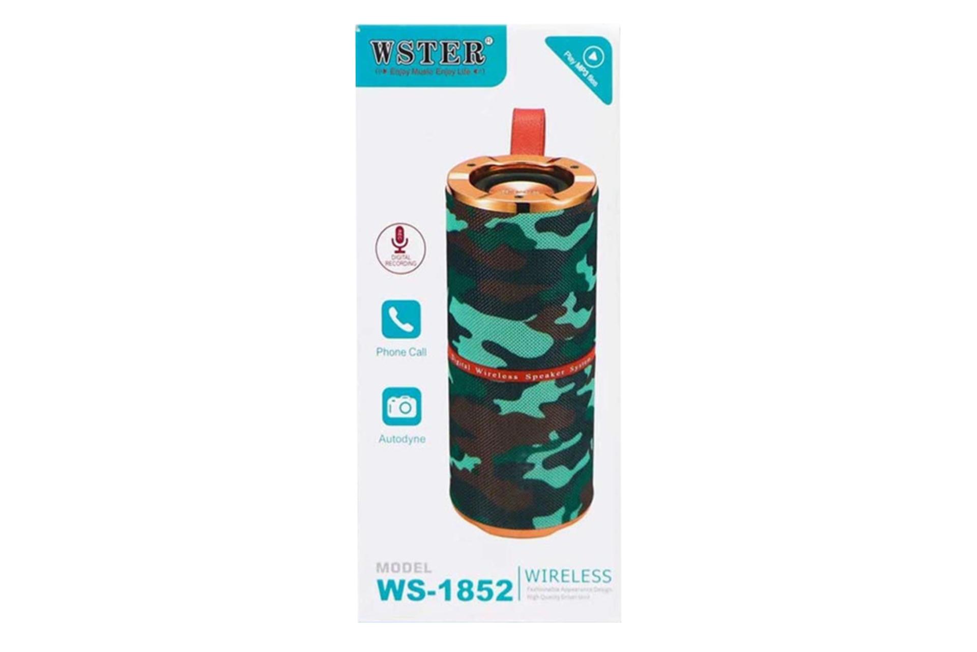 جعبه اسپیکر وستر WSTER WS-1852