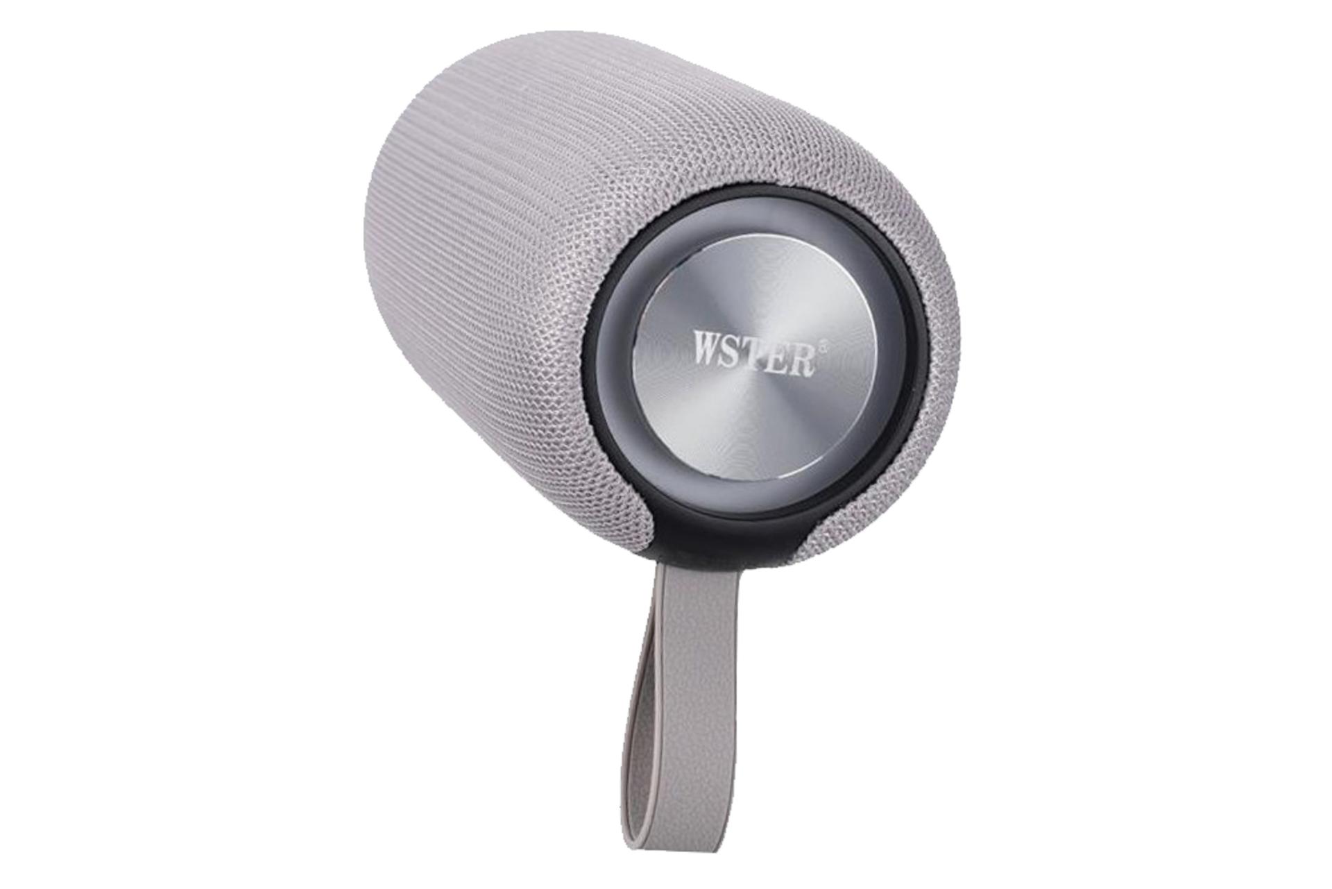 توان اسپیکر وستر WSTER WS-1870