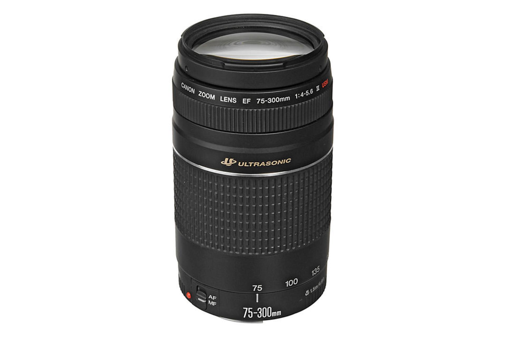 Canon EF 75-300mm f/4.0-5.6 III	