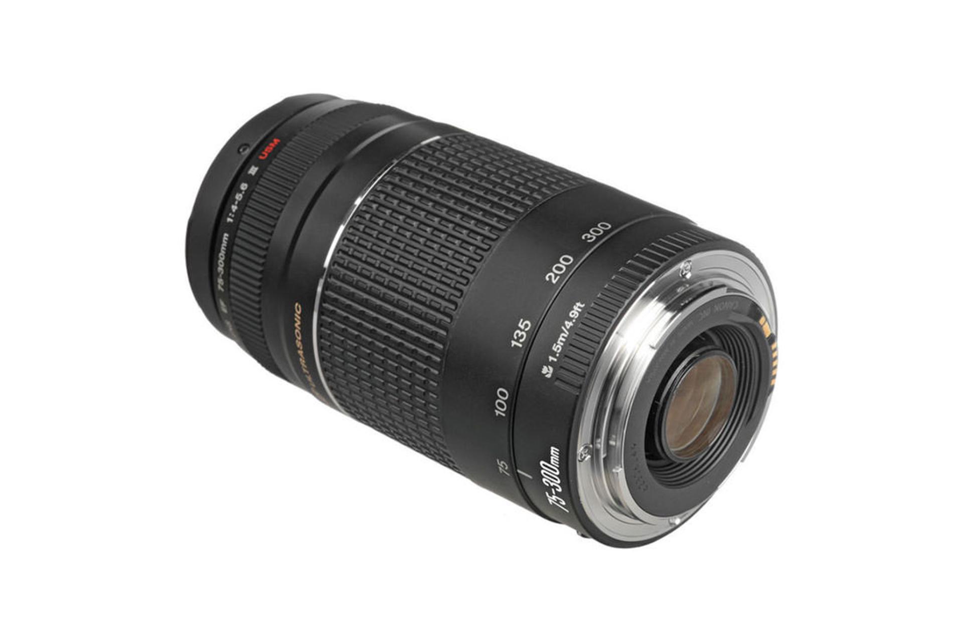 Canon EF 75-300mm f/4.0-5.6 III	